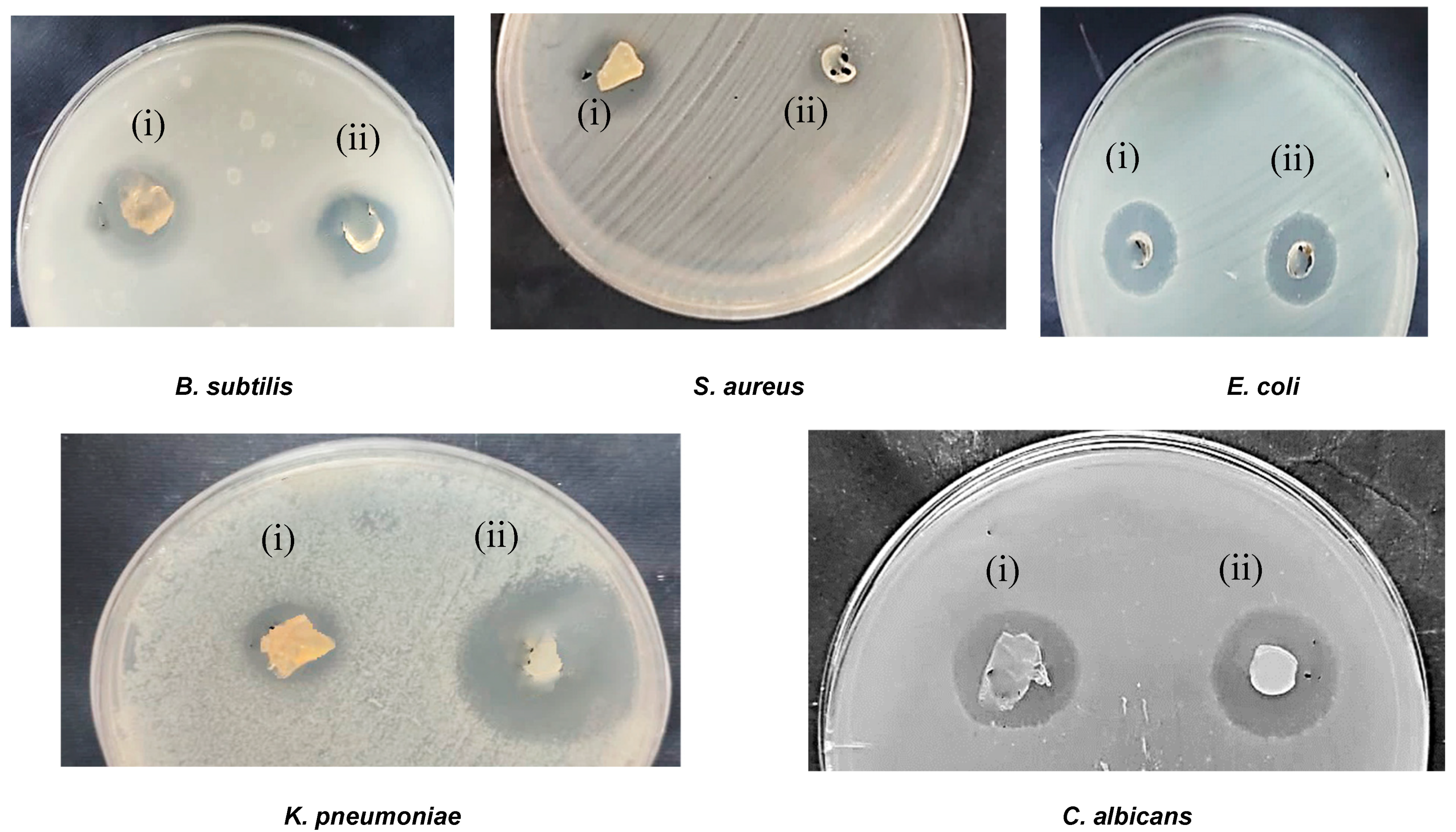 Processes 12 02702 g006b