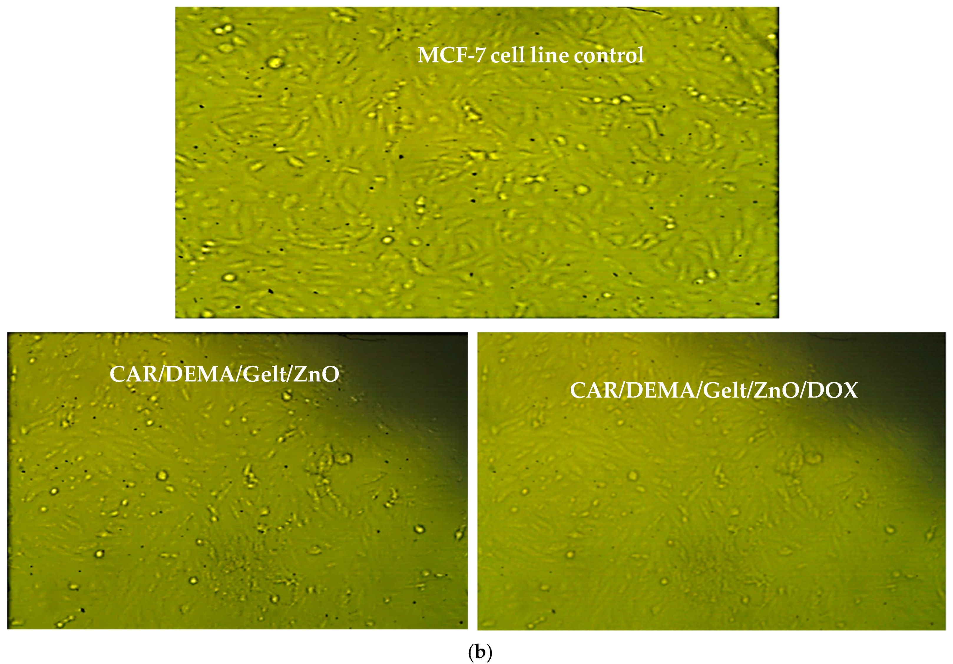 Processes 12 02702 g009b