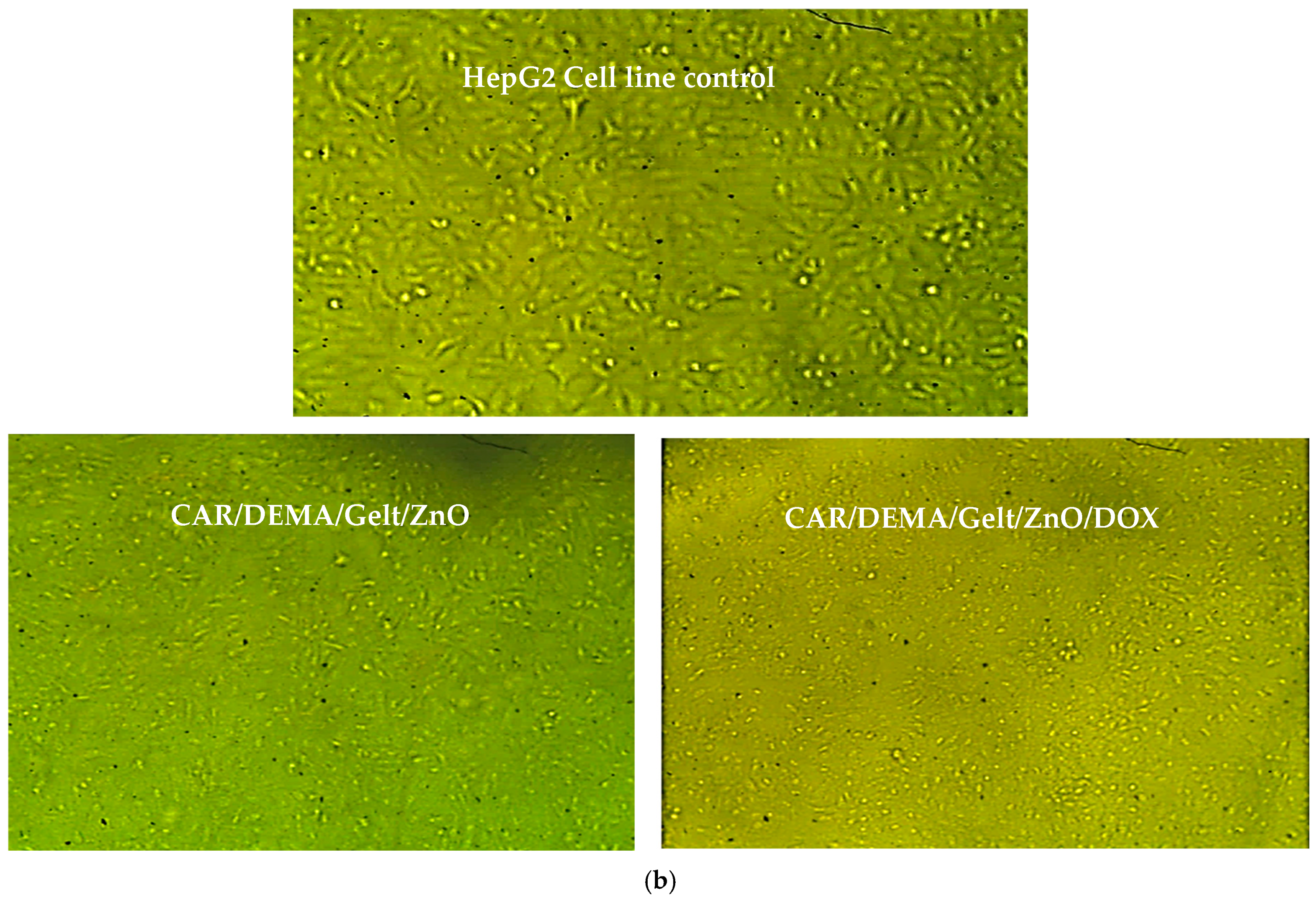 Processes 12 02702 g010b