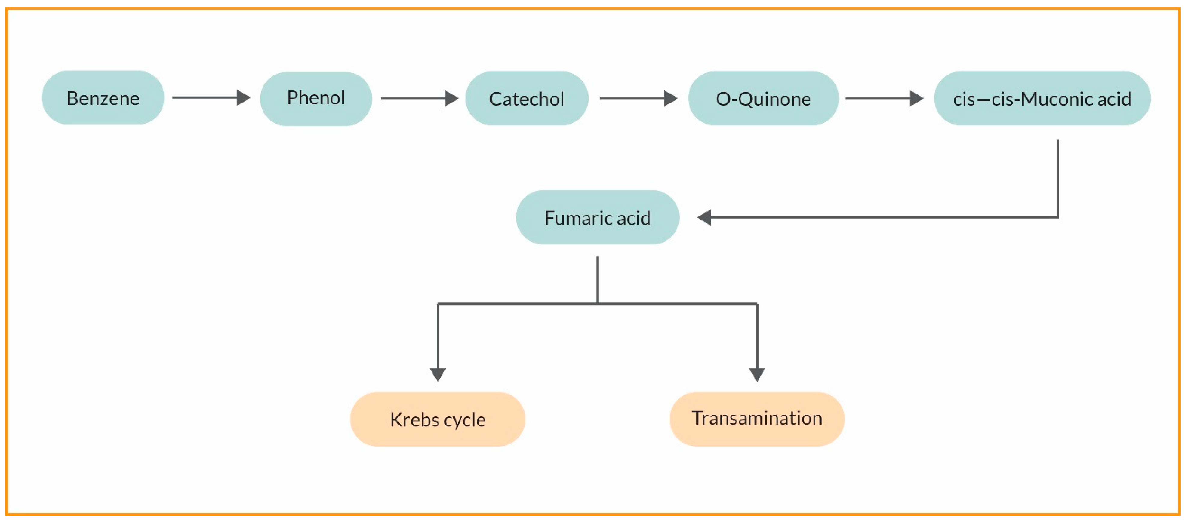 Processes 12 02733 g003 Processes 12 02733 g003