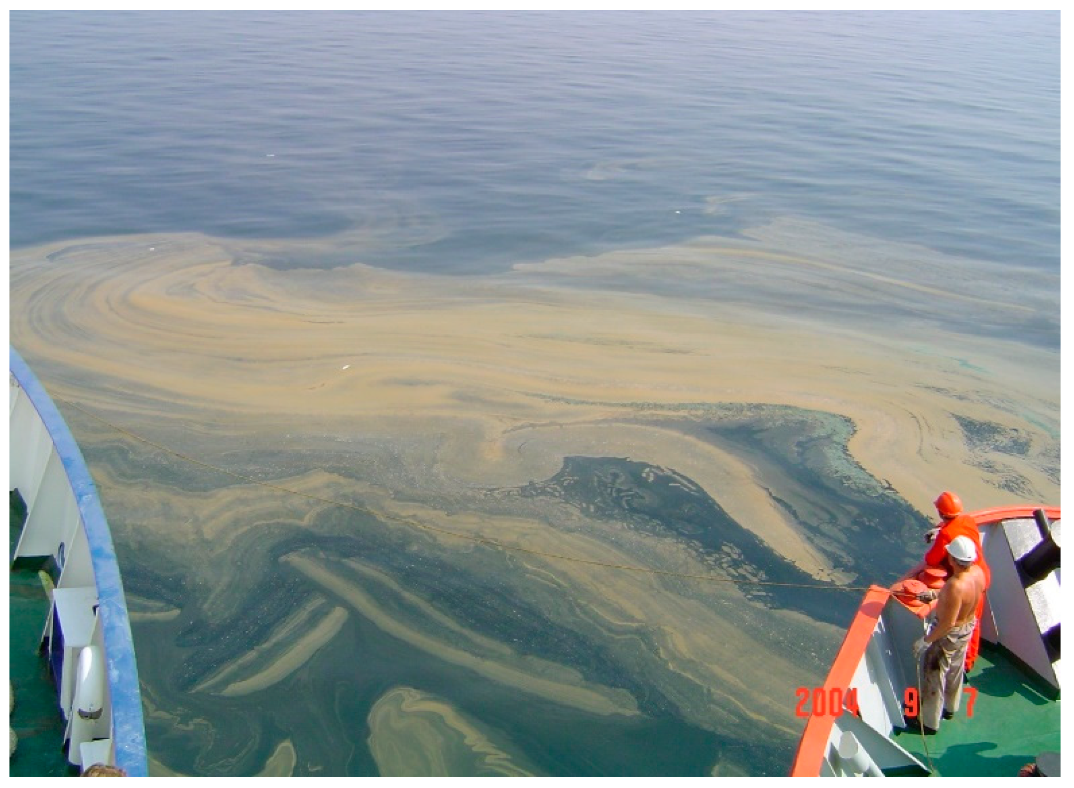 Processes 12 02733 g004 Processes 12 02733 g004