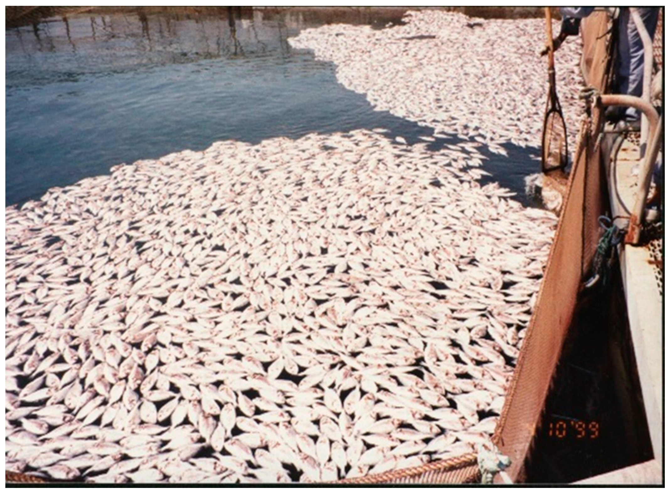 Processes 12 02733 g005 Processes 12 02733 g005