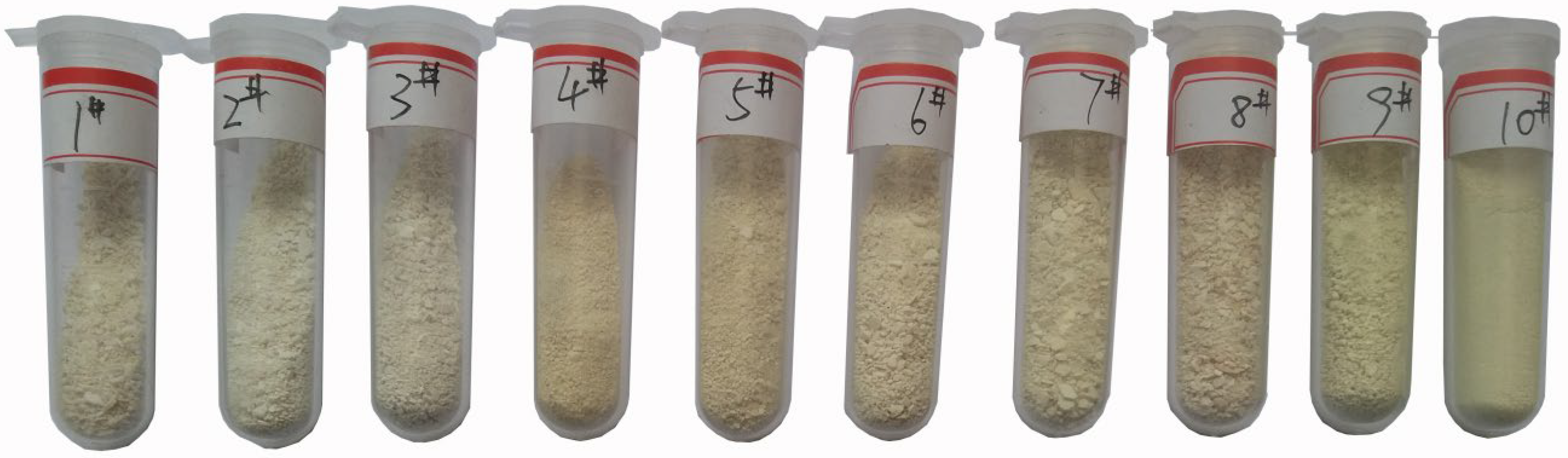 Processes 12 02734 g001