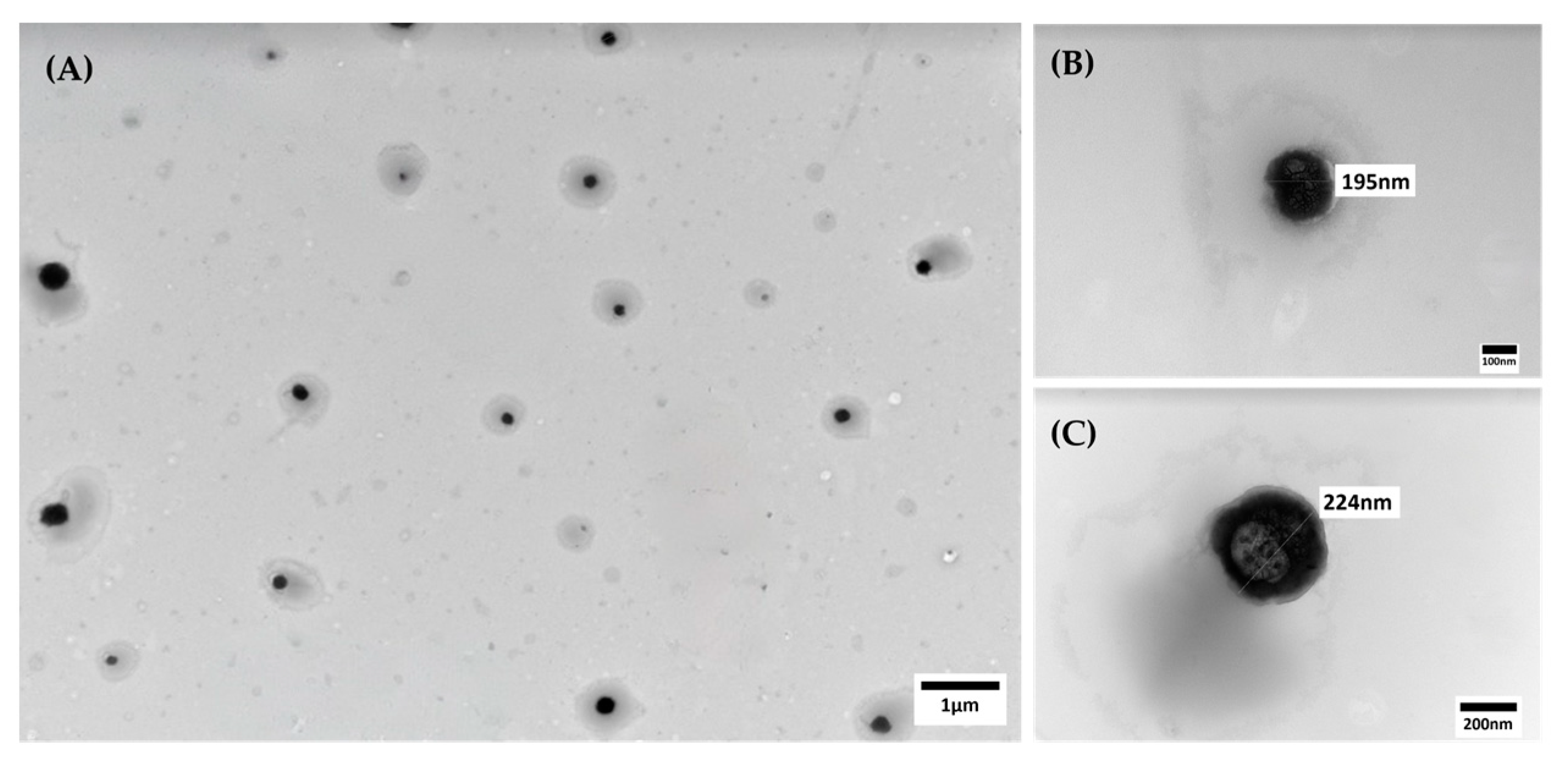 Processes 12 02739 g008