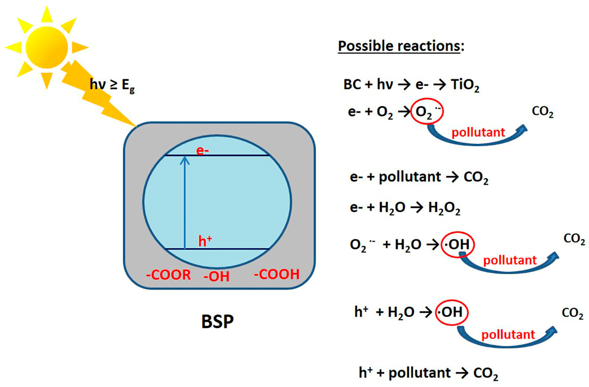 Processes 12 02746 g003
