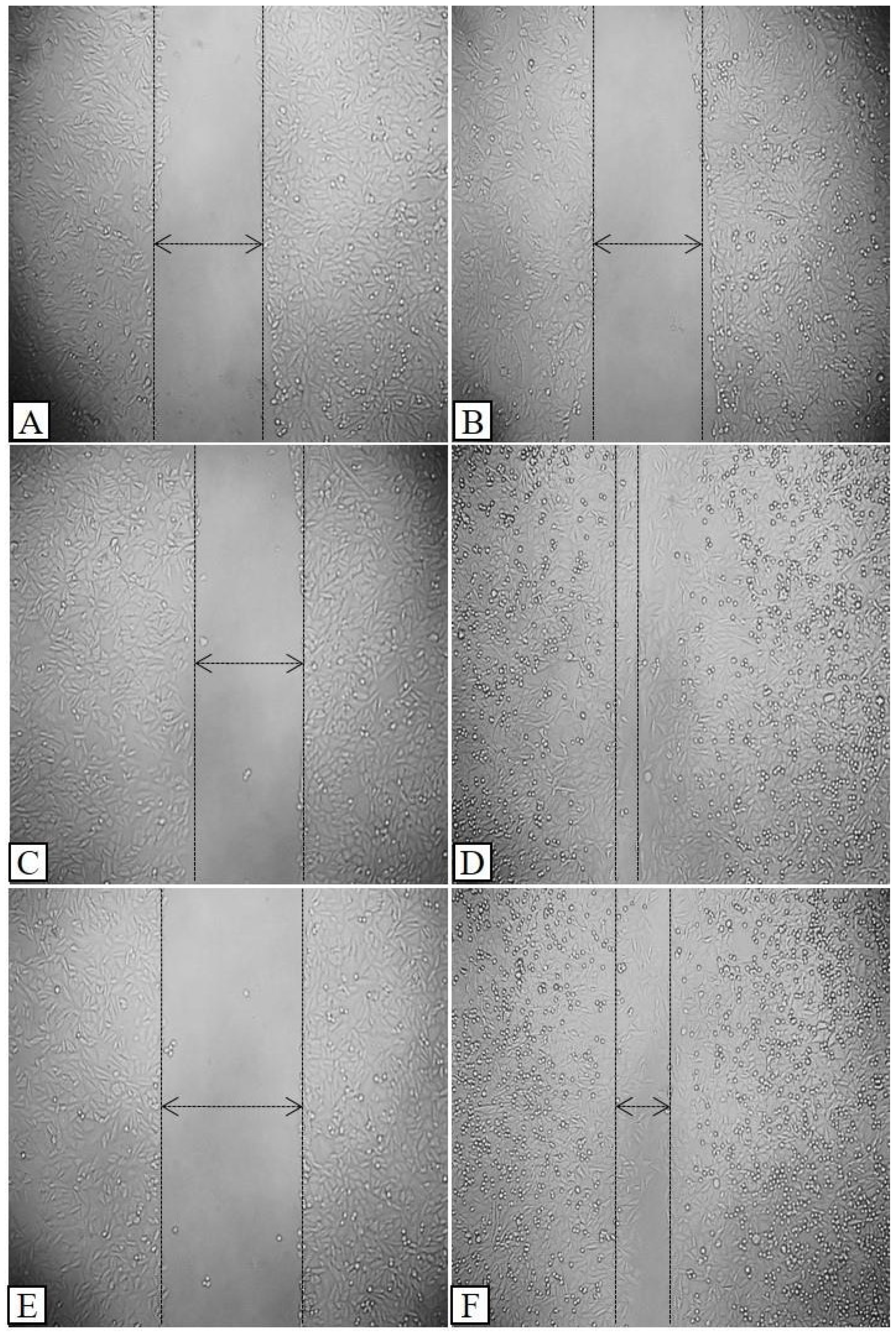 Processes 12 02750 g007