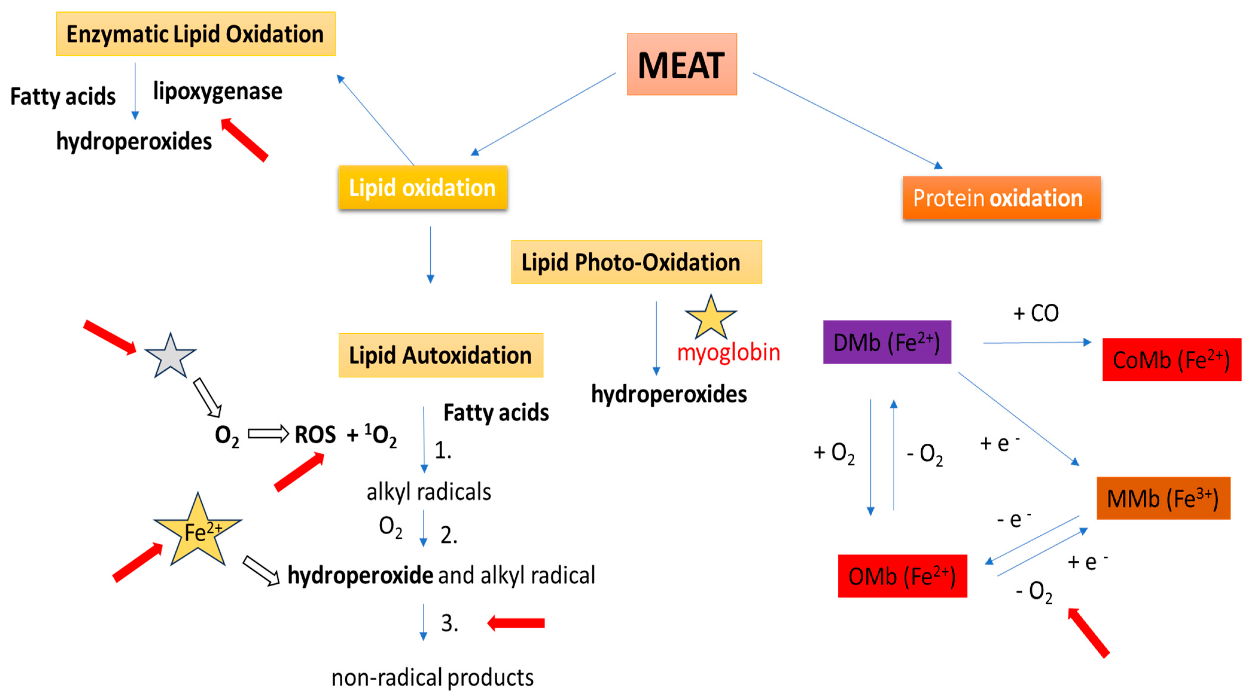 Processes 12 02756 g003
