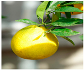 Processes 12 02756 i003