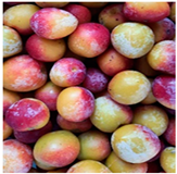 Processes 12 02756 i011