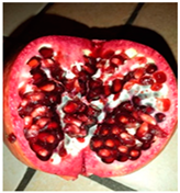 Processes 12 02756 i013