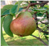 Processes 12 02756 i014