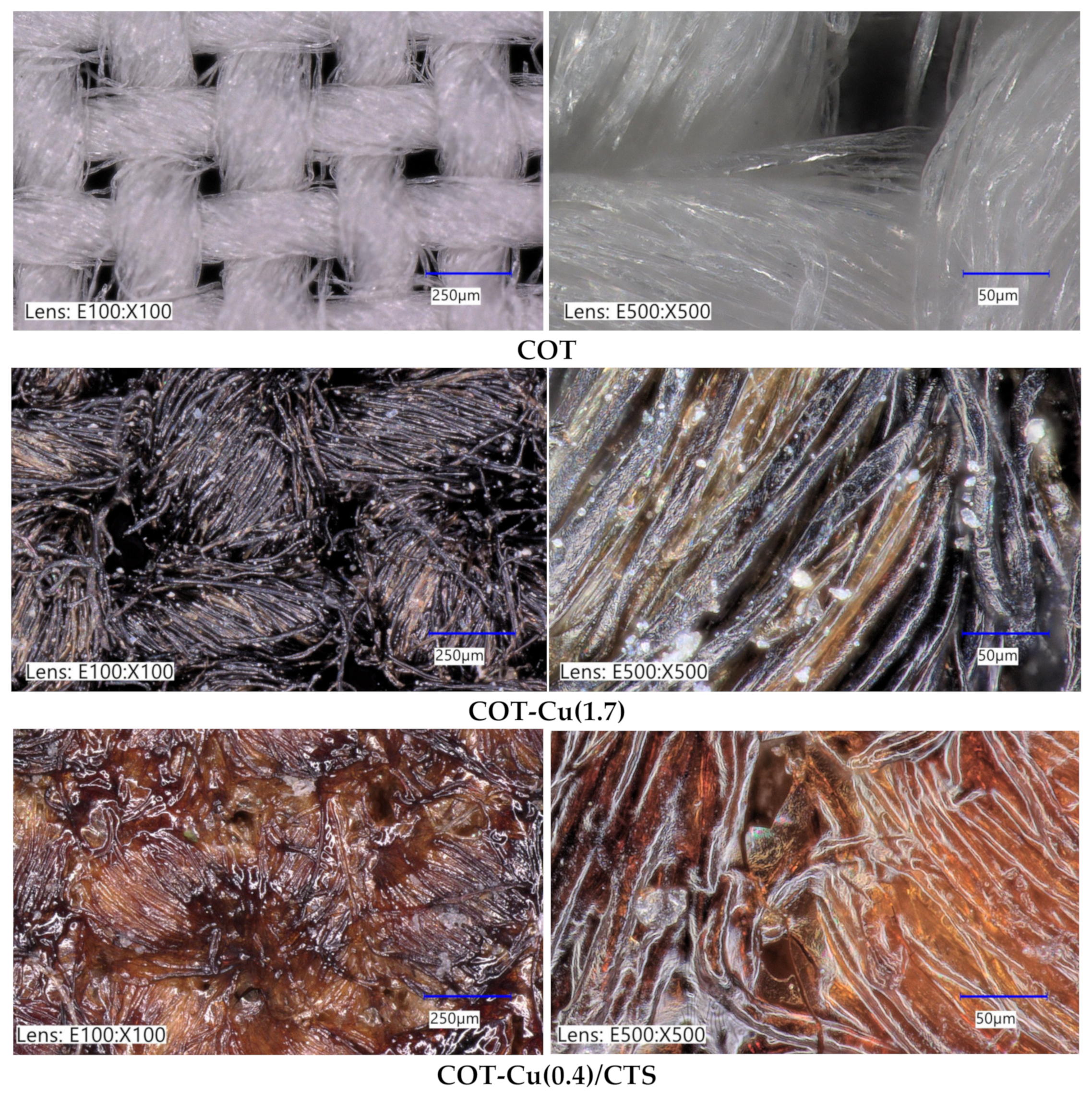 Processes 12 02772 g004