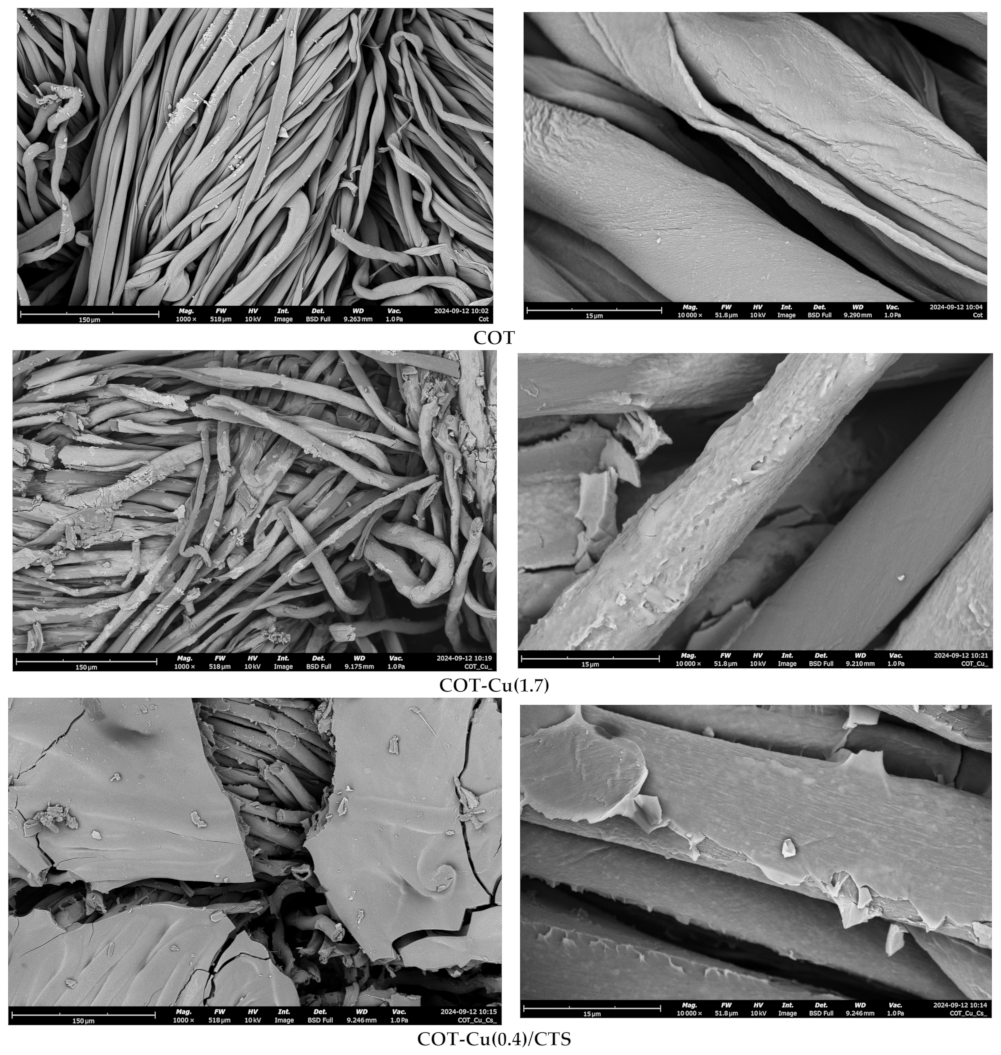 Processes 12 02772 g005