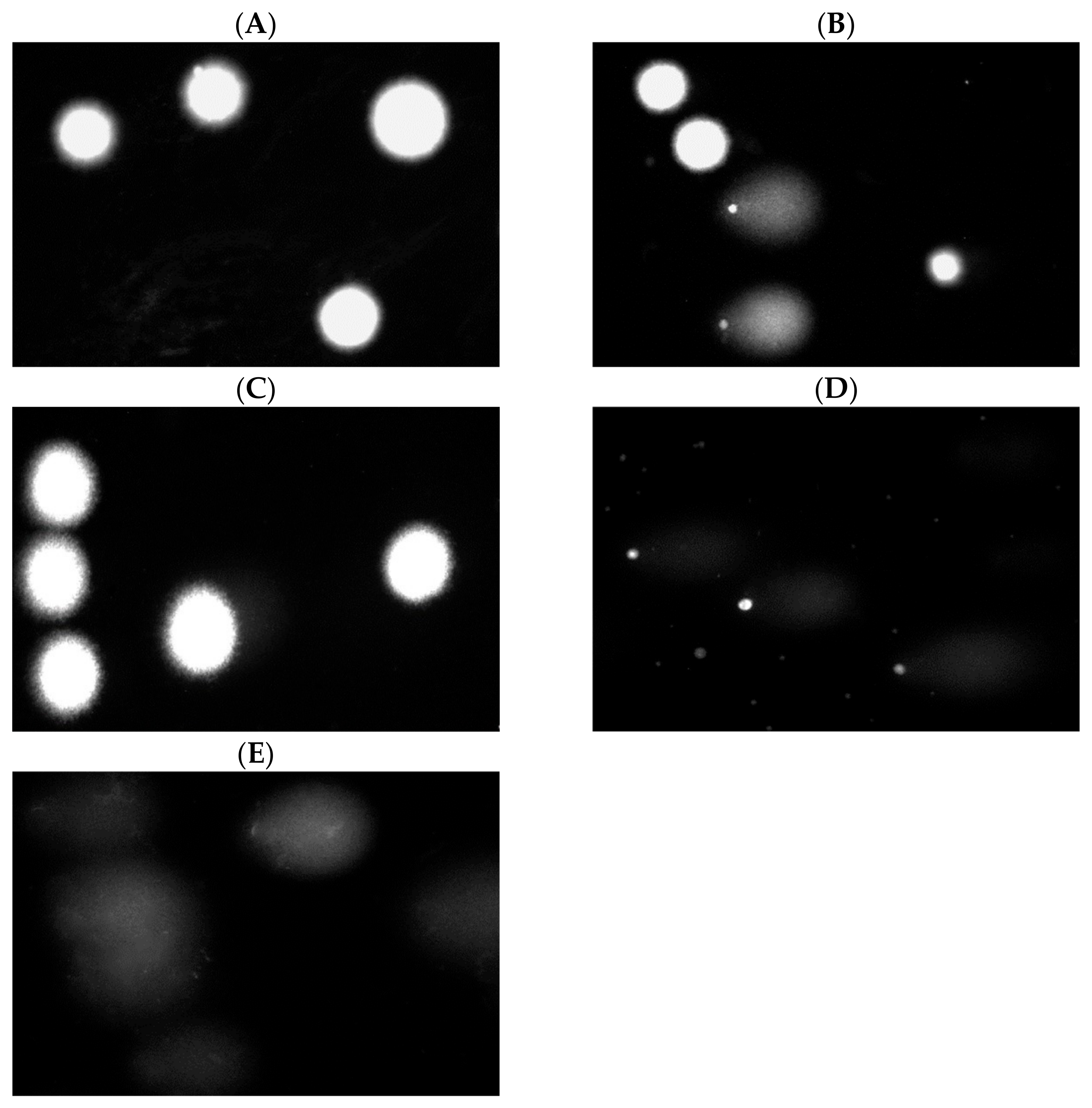 Processes 12 02772 g009