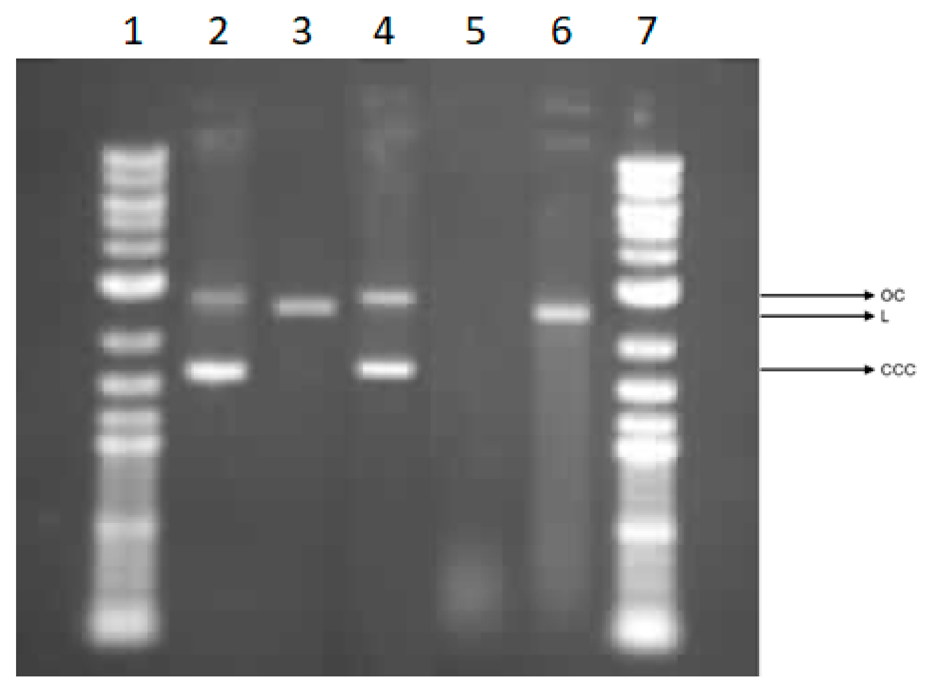 Processes 12 02772 g010