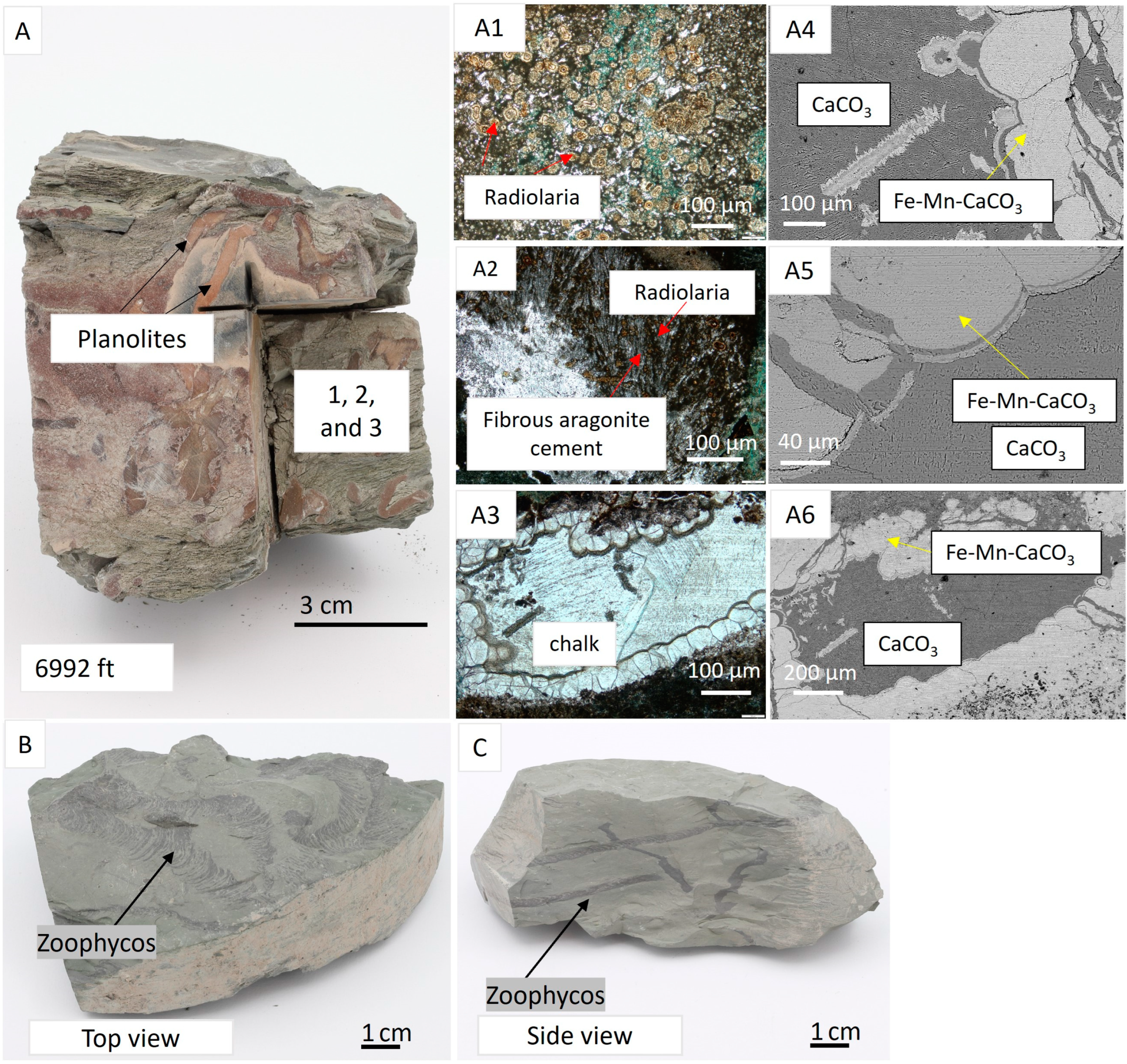 Processes 12 02773 g006