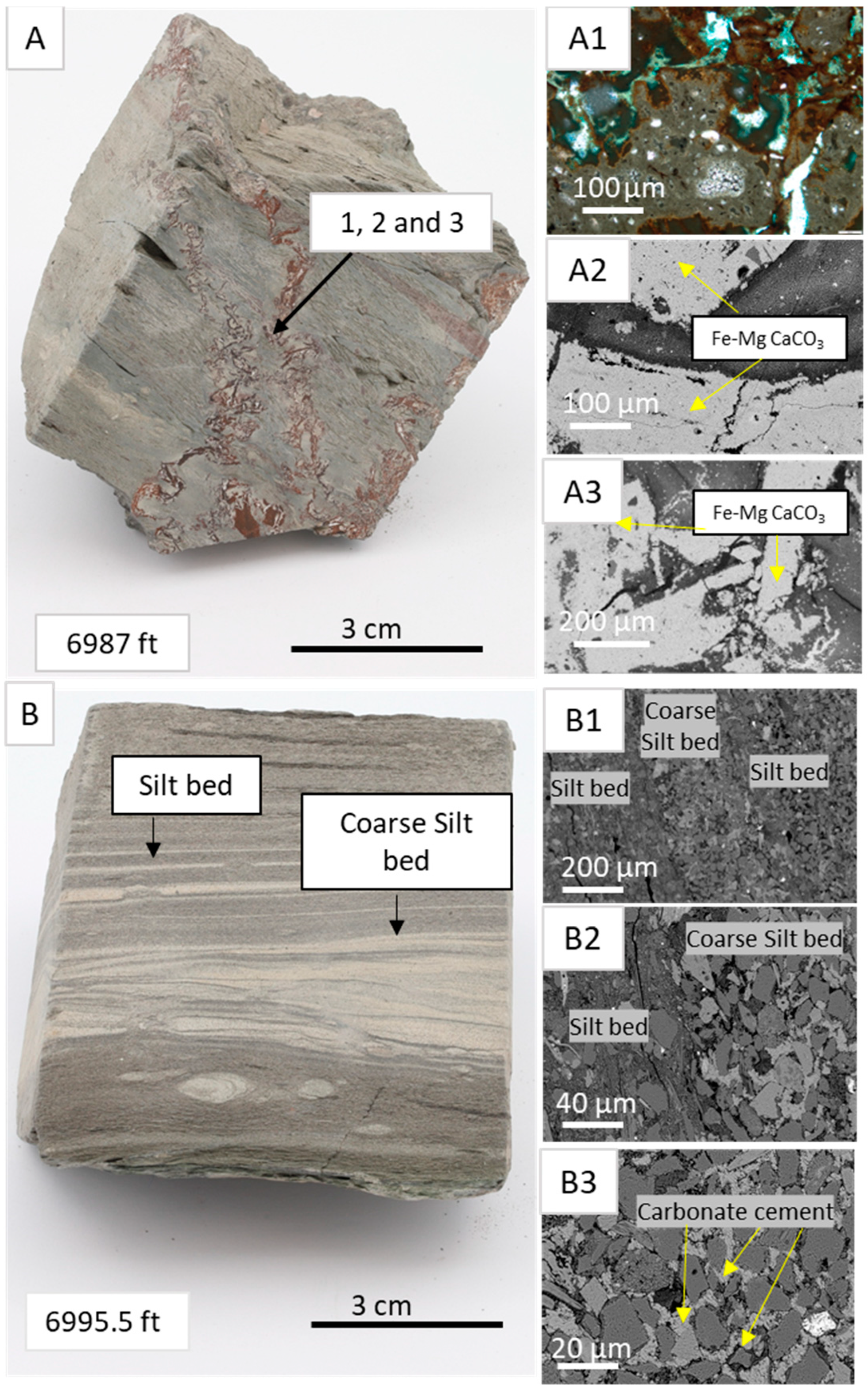 Processes 12 02773 g007