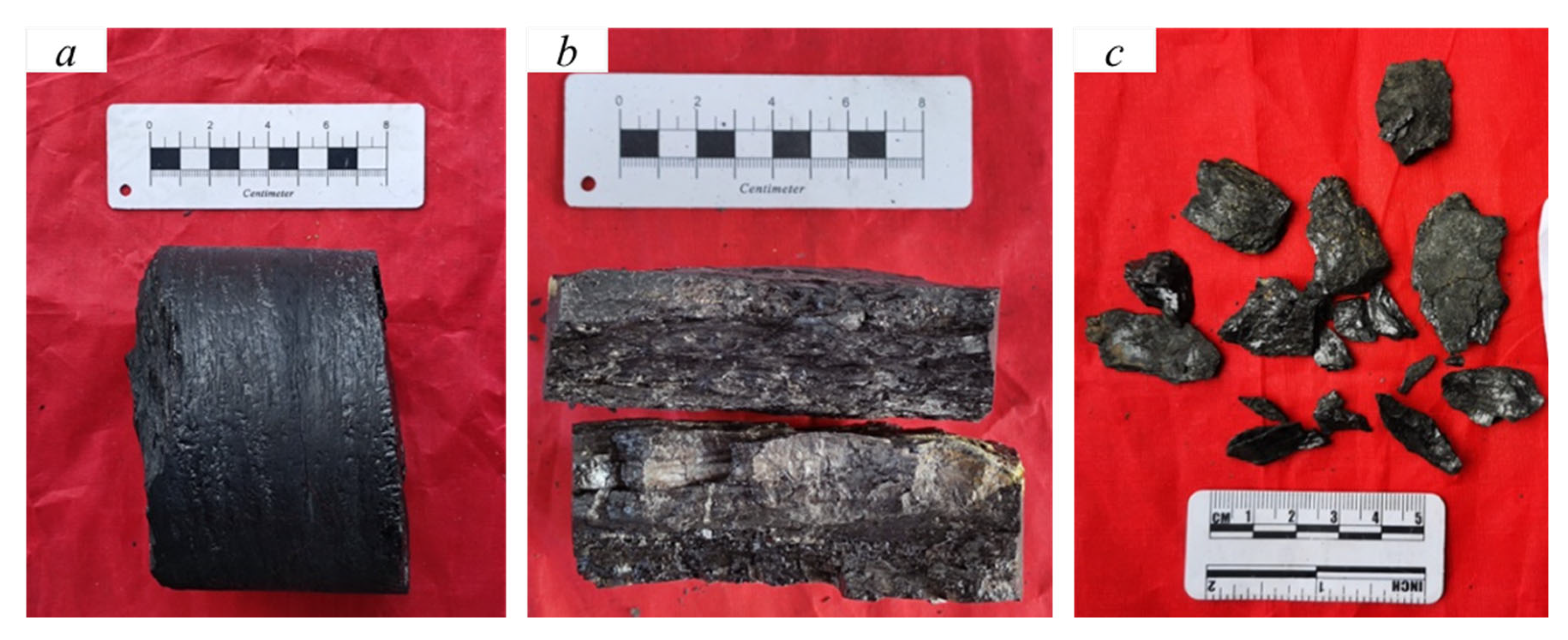 Processes 12 02784 g002