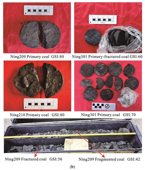 Investigation of Coal Structure and Its Differential Pore