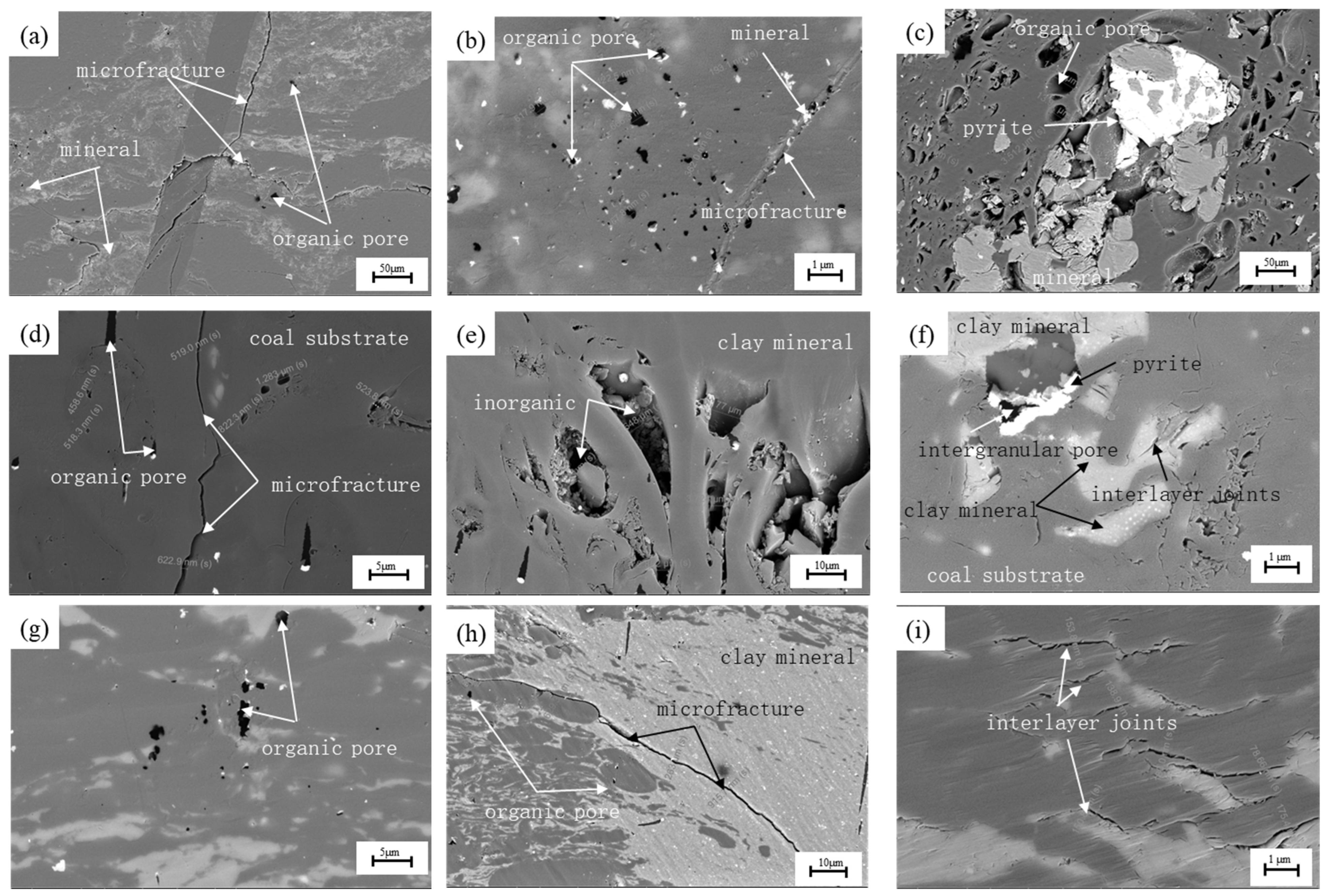 Processes 12 02787 g002