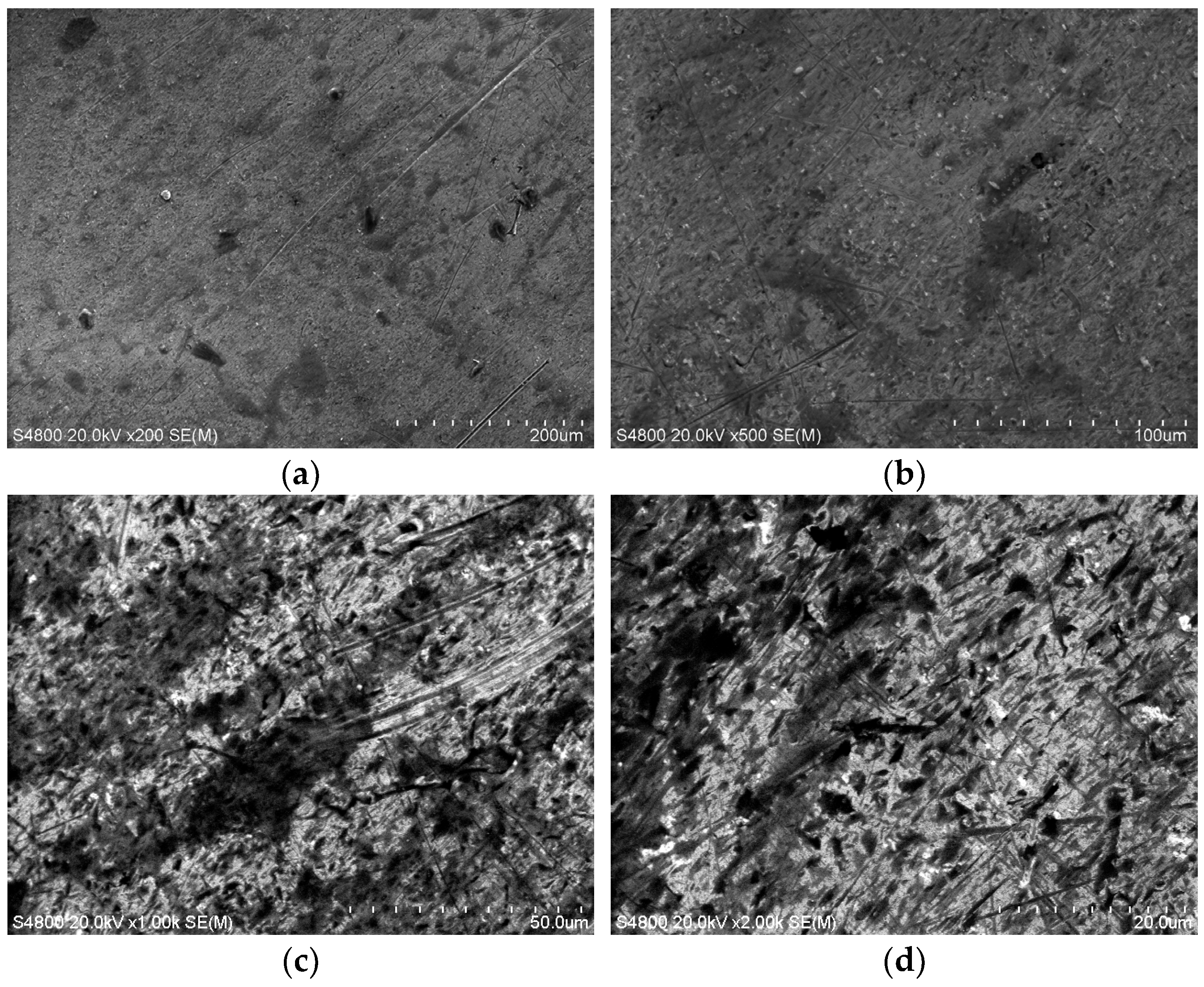 Processes 12 02790 g010