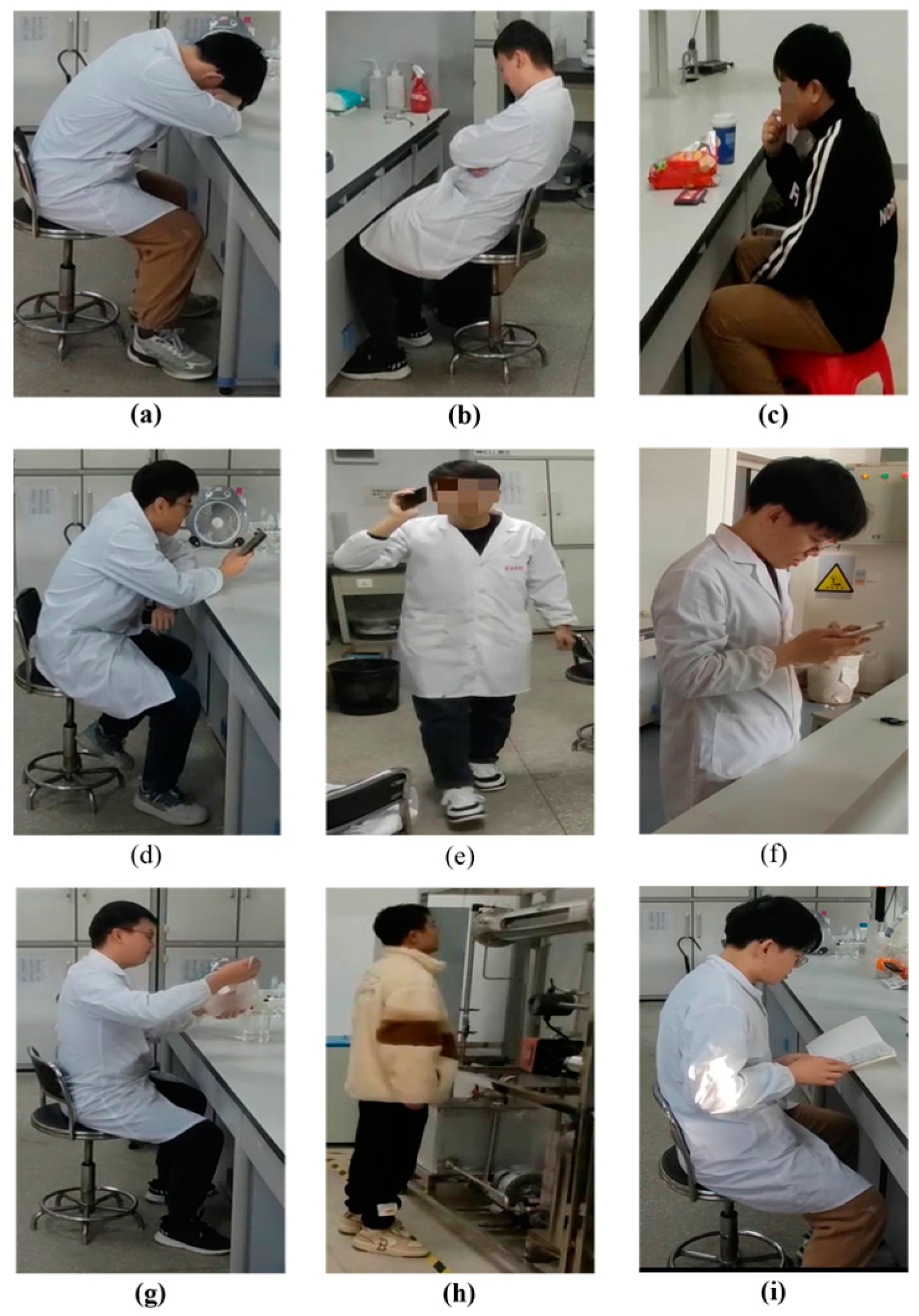 Processes 12 02796 g003