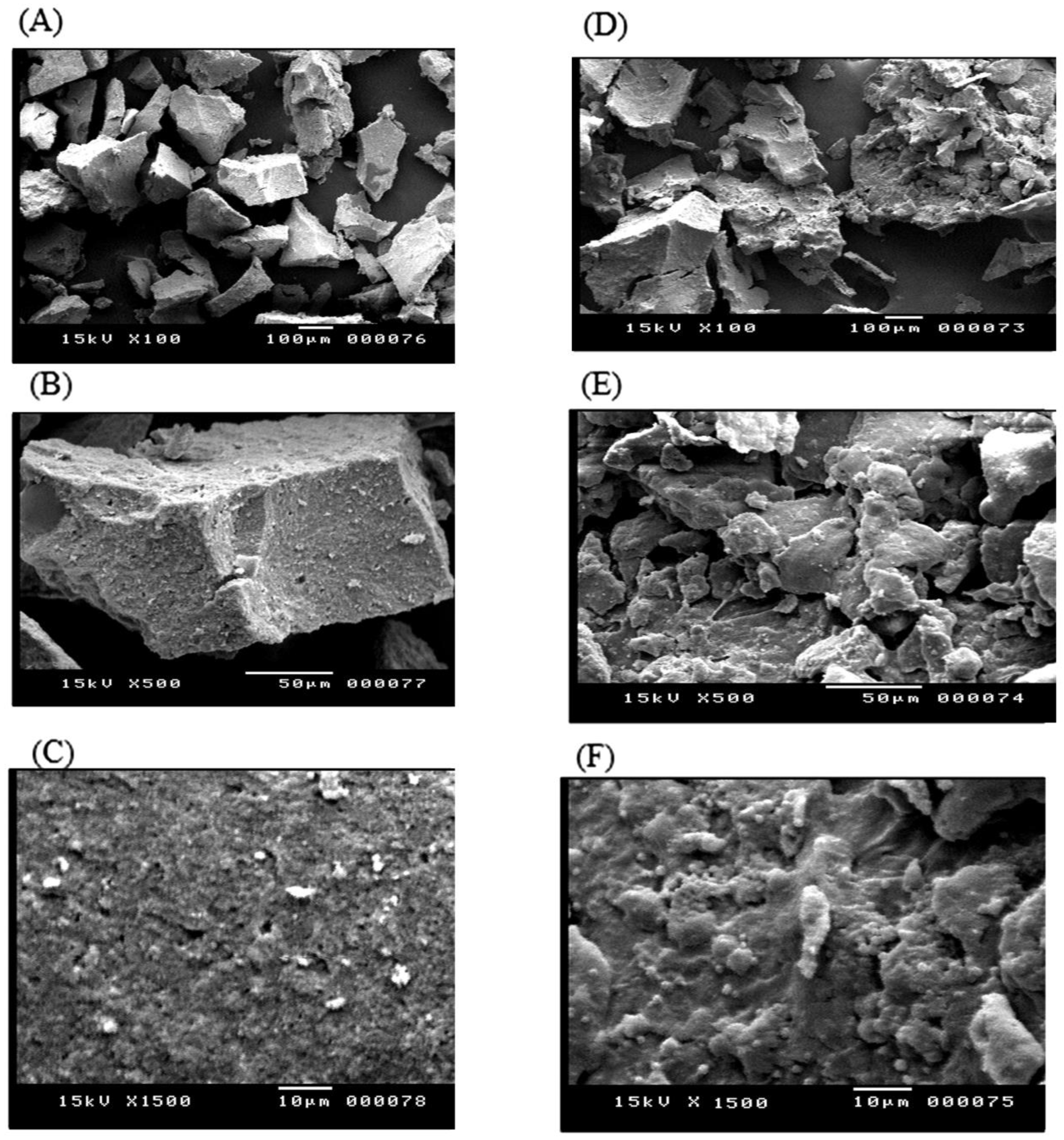 Processes 12 02822 g001