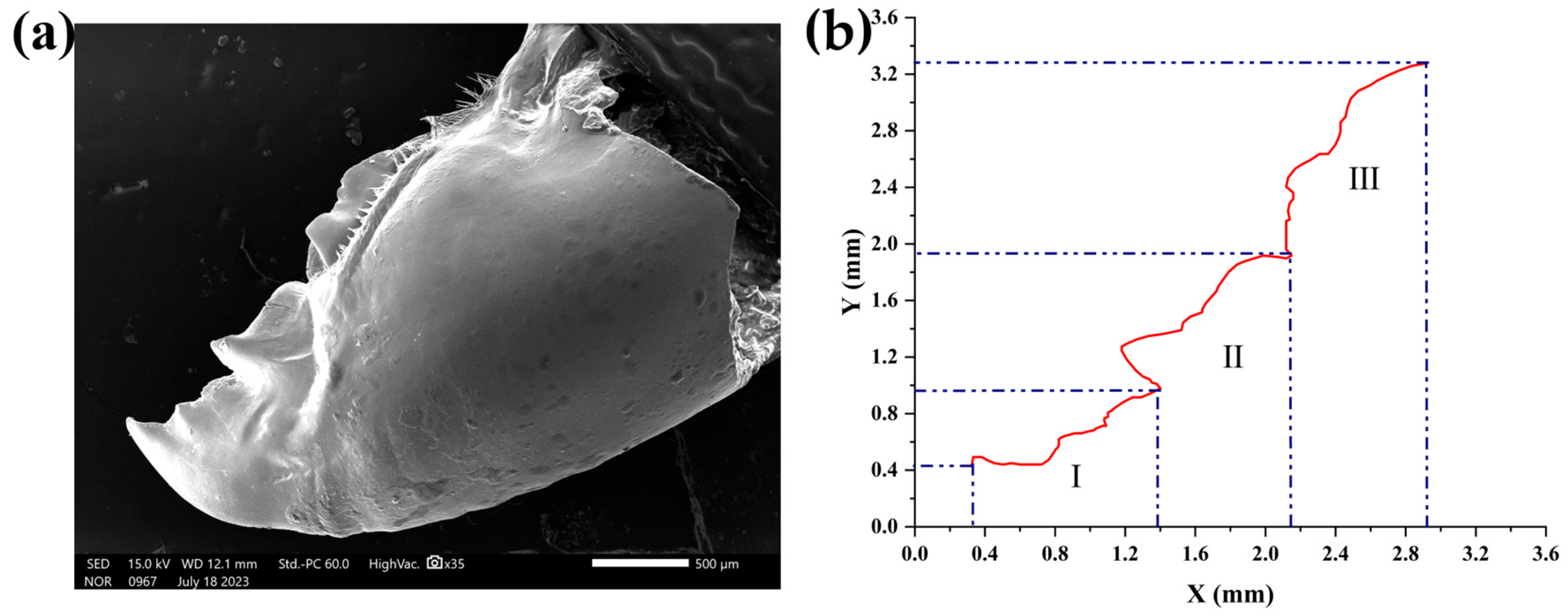 Processes 12 02834 g001