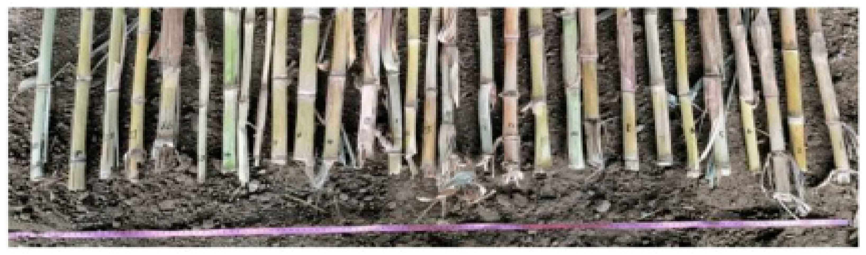 Processes 12 02834 g006