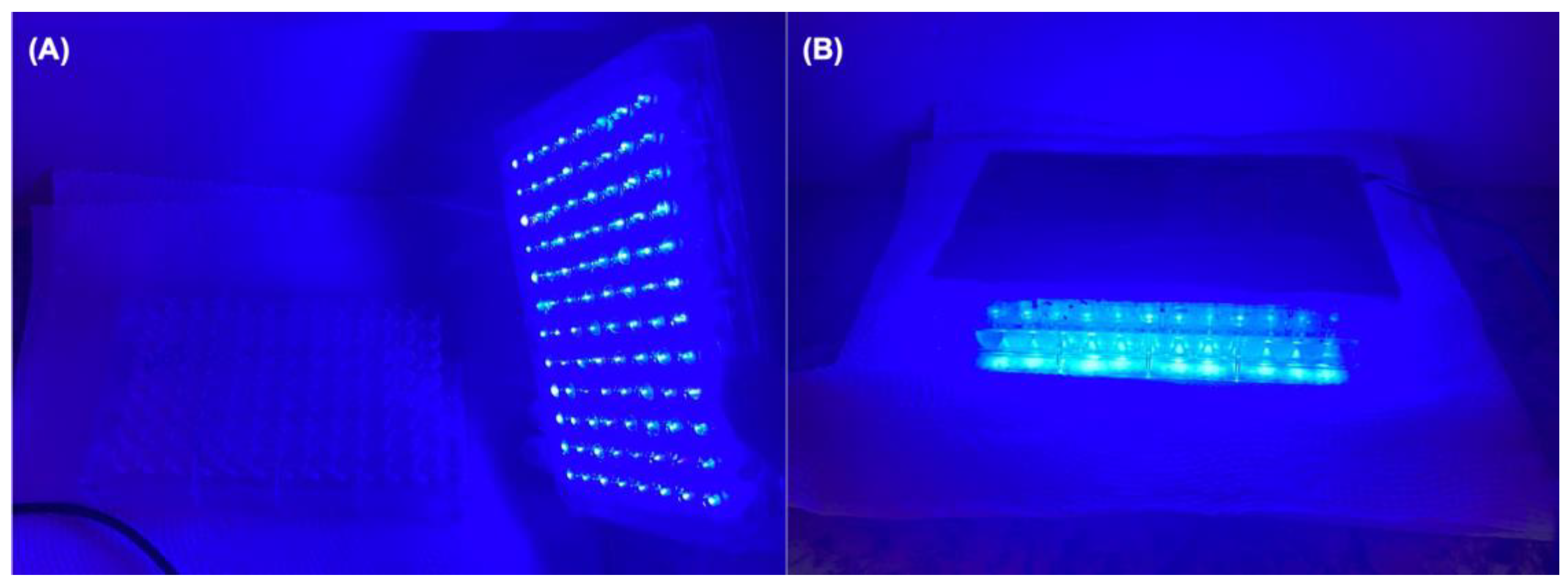 Processes 12 02841 g002