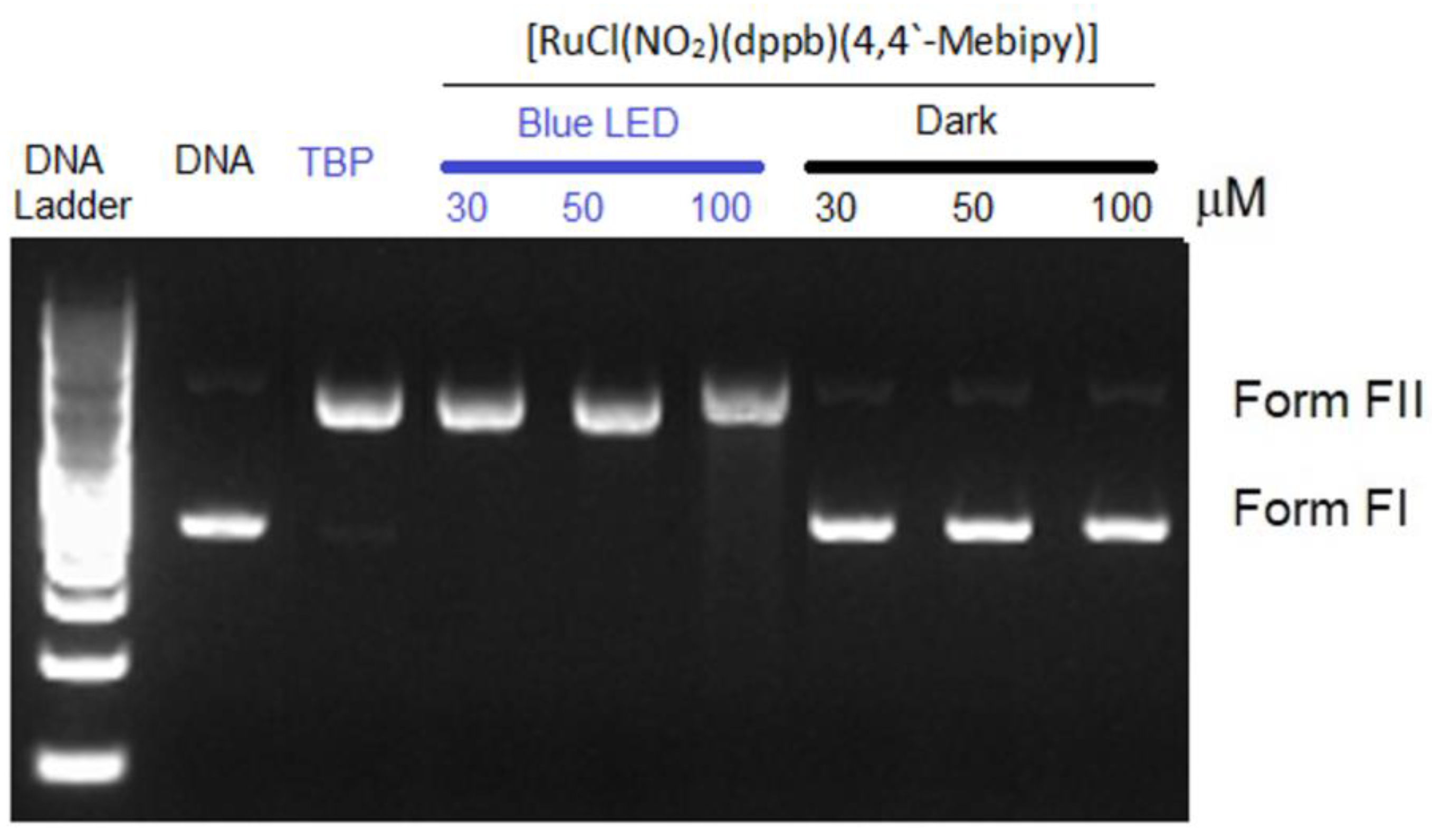 Processes 12 02841 g006