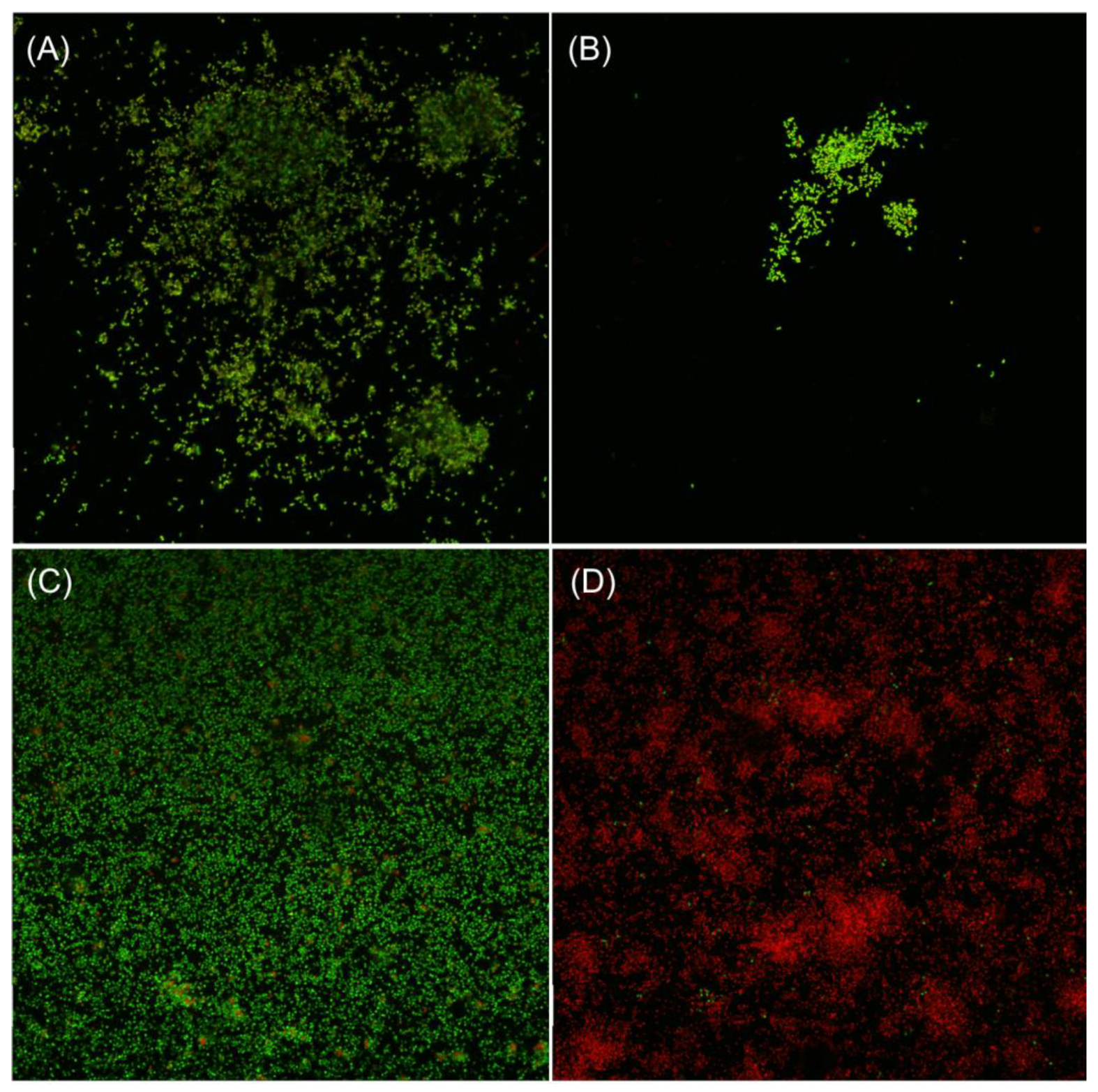 Processes 12 02841 g012