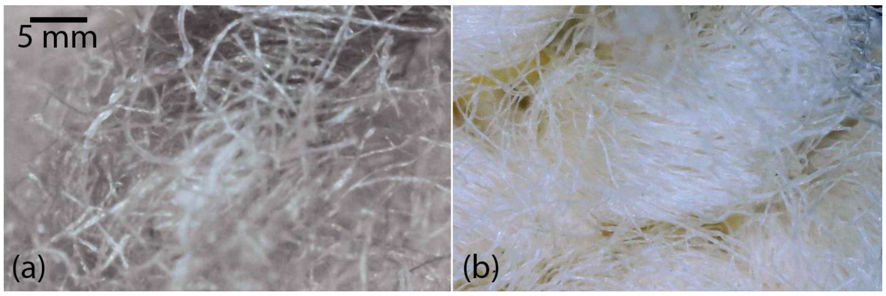 Processes 12 02854 g002