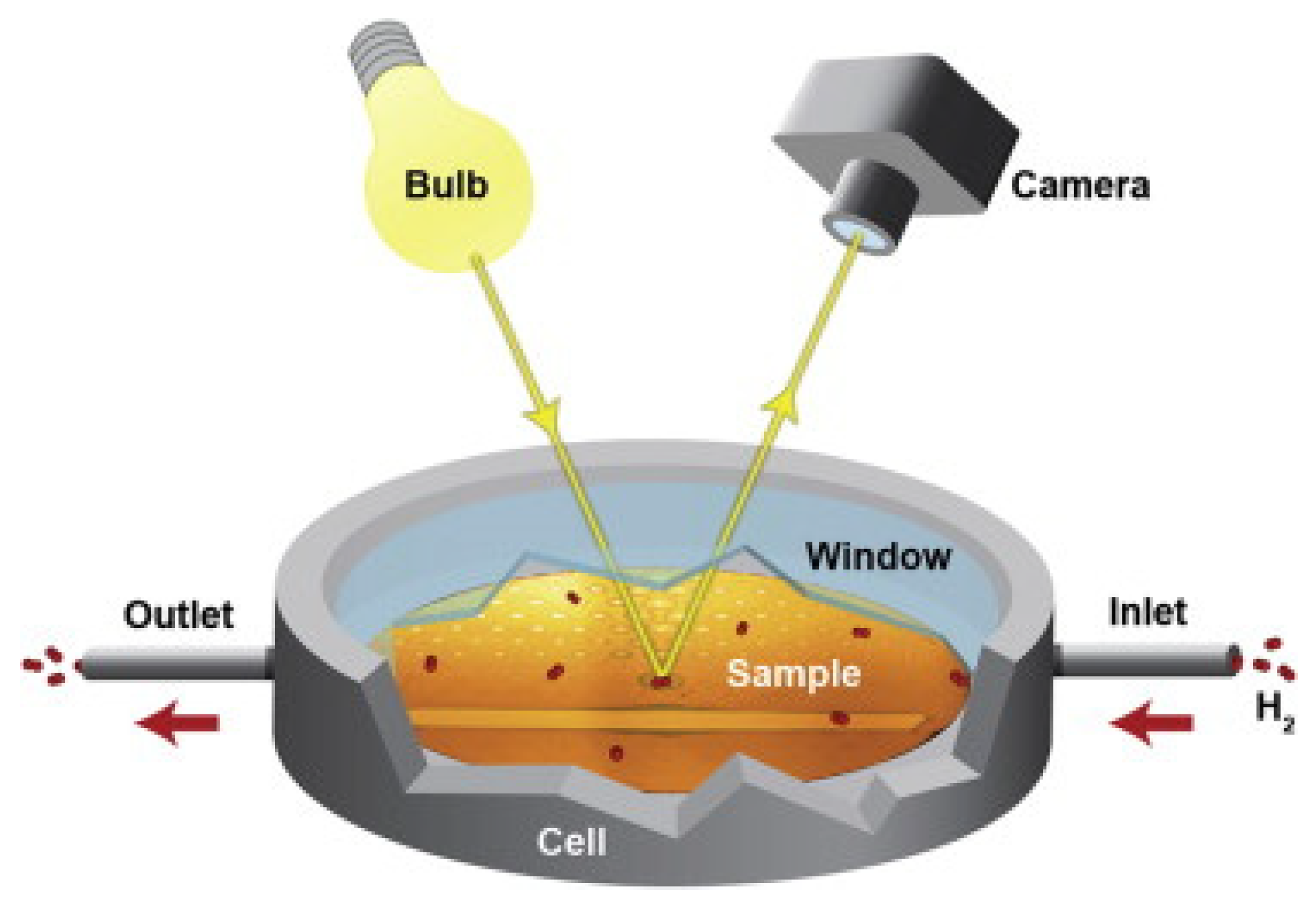 Processes 12 02855 g014