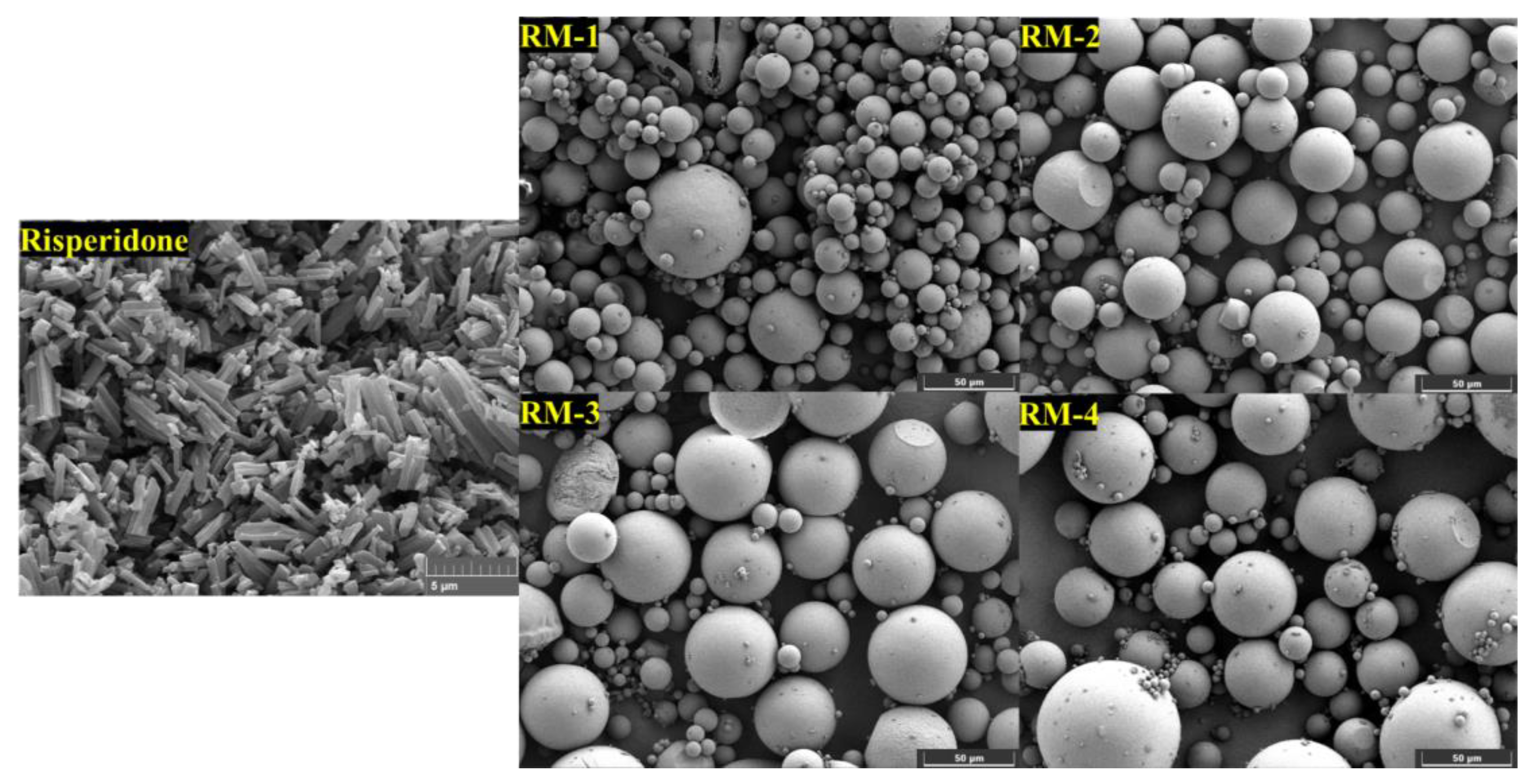 Processes 12 02858 g001