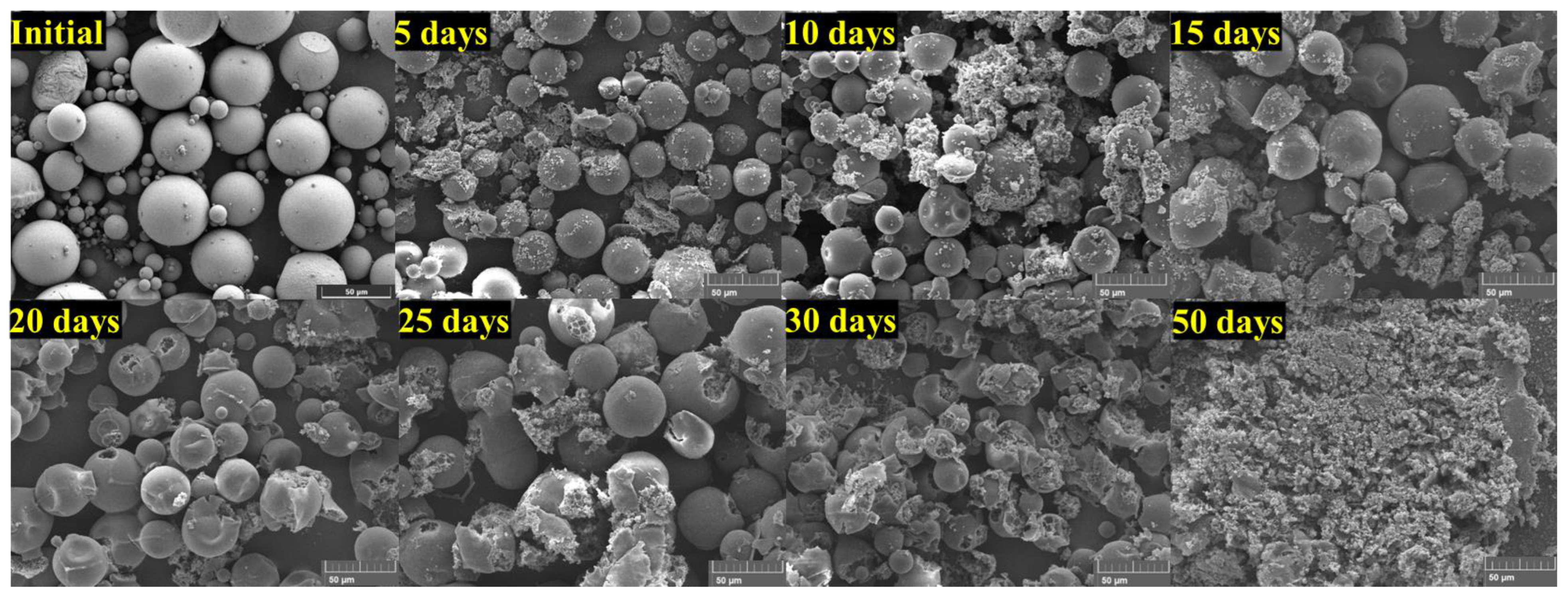 Processes 12 02858 g005