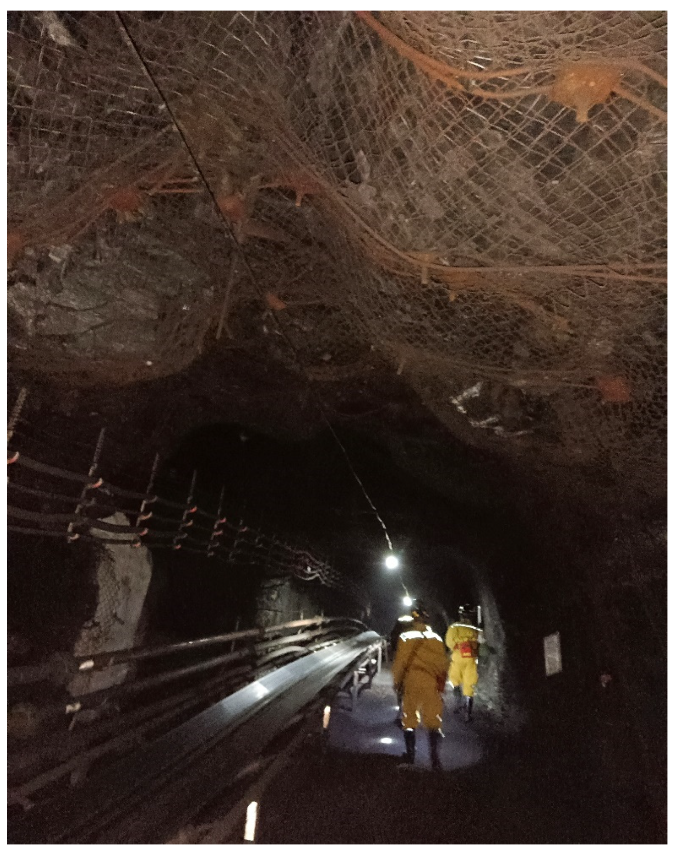 Processes 12 02886 g002