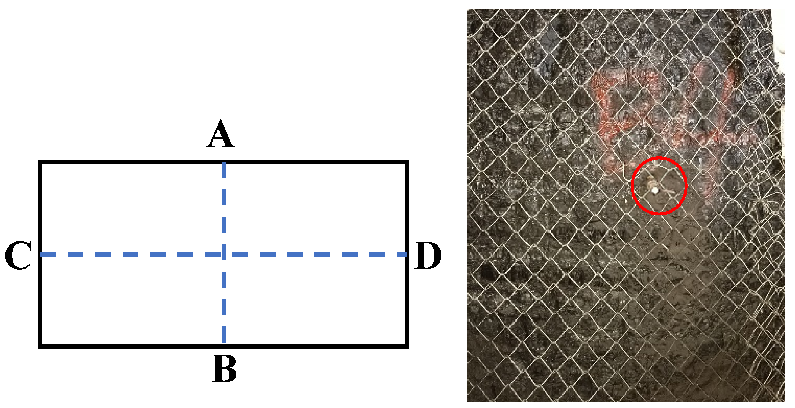 Processes 12 02886 g020