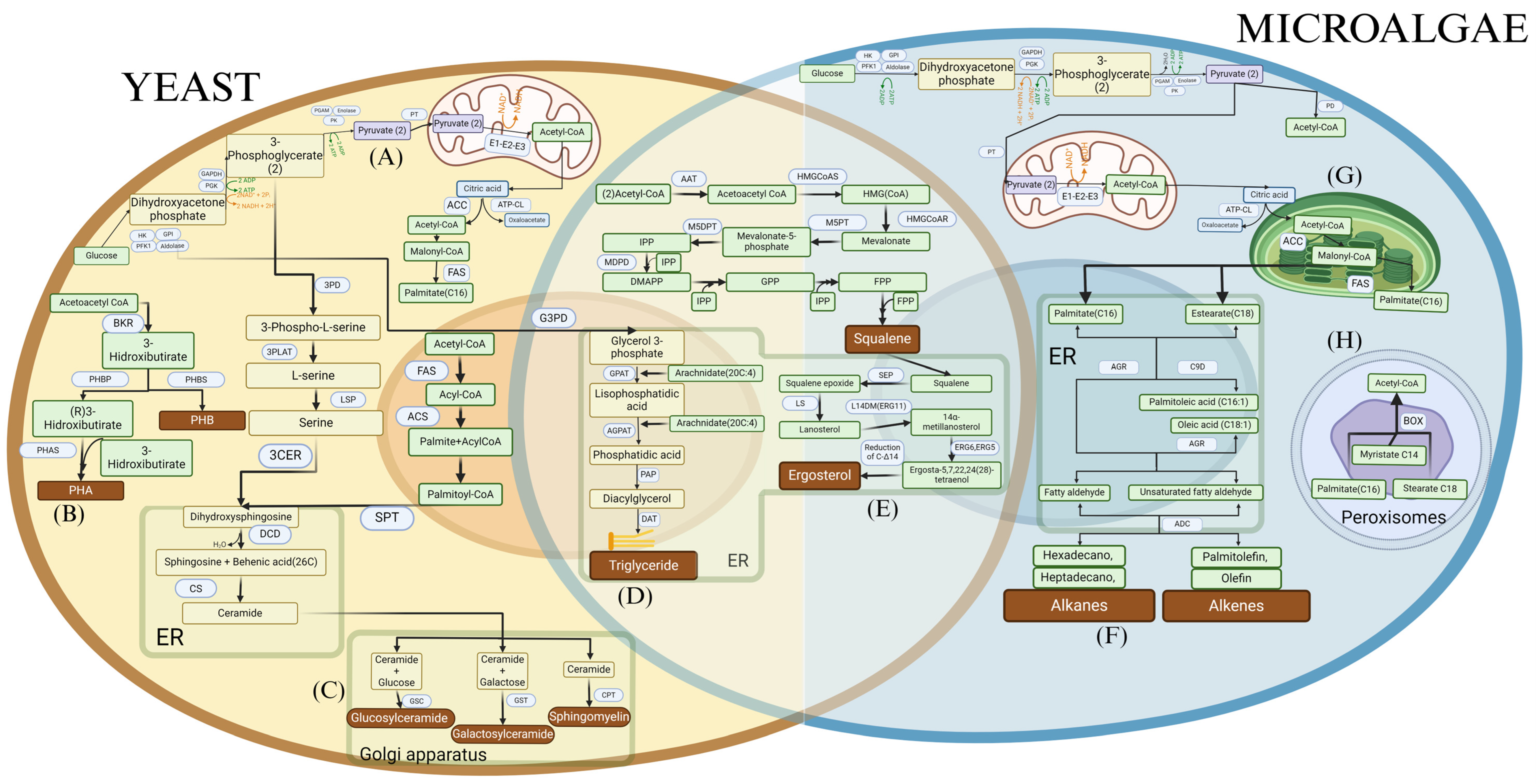 Processes 12 02903 g002 Processes 12 02903 g002