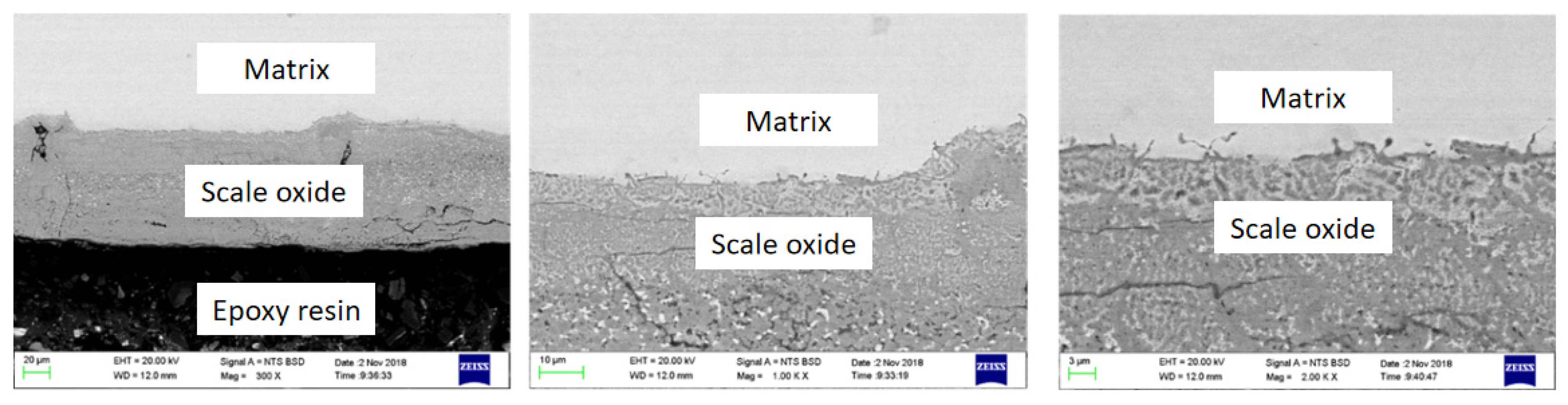 Processes 12 02912 g004