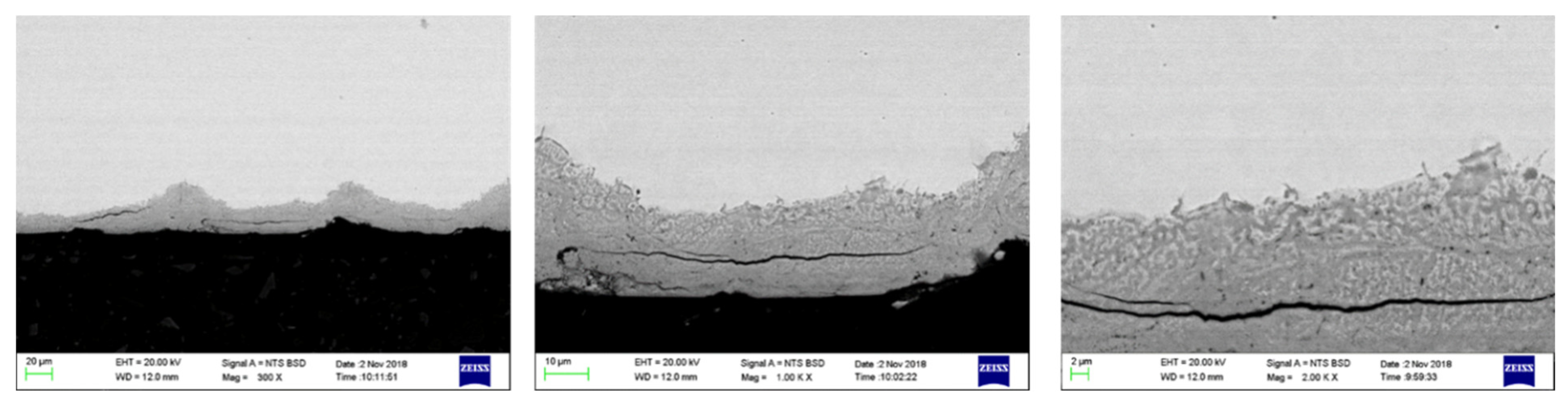 Processes 12 02912 g005