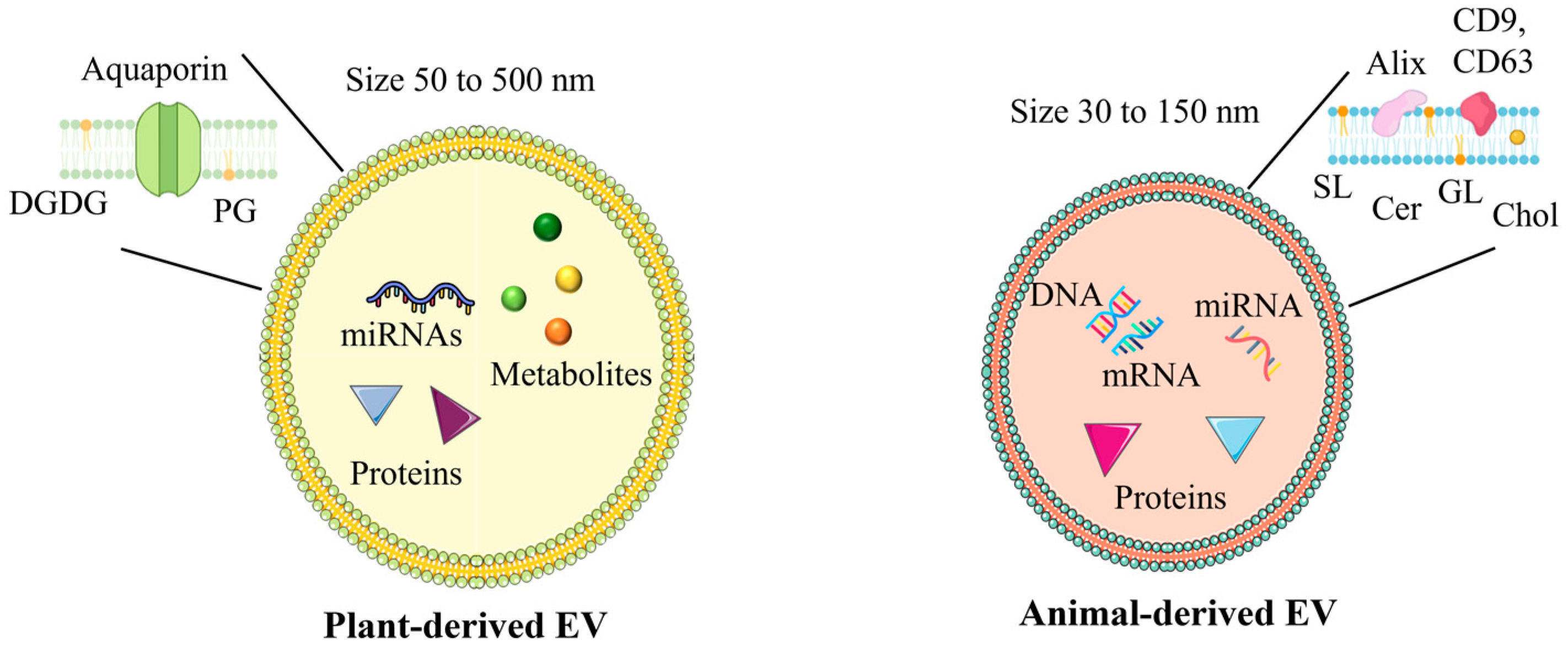 Processes 12 02938 g002