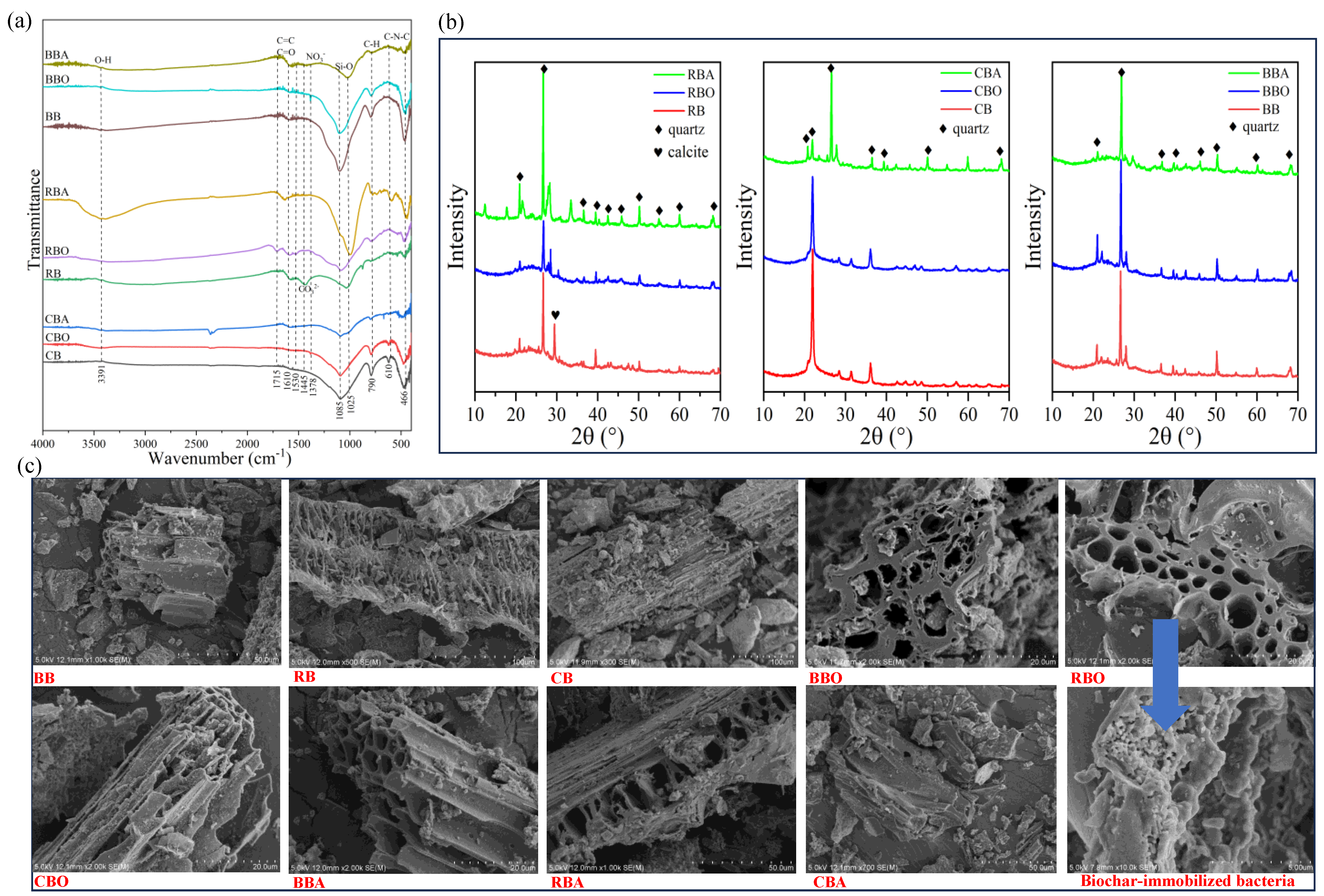 Processes 12 02939 g002