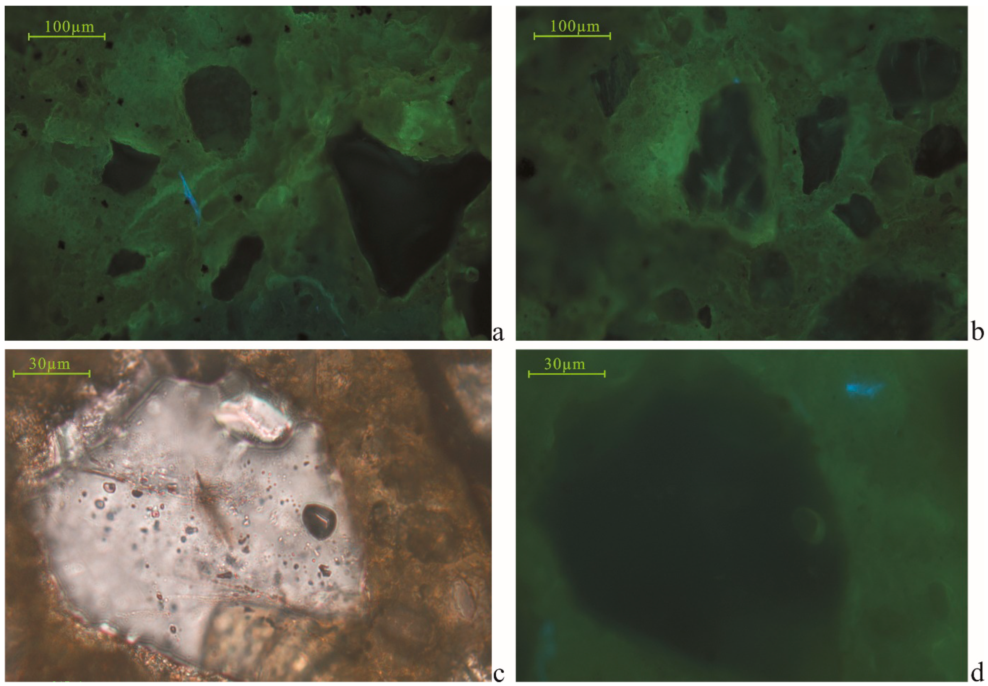 Processes 13 00024 g005