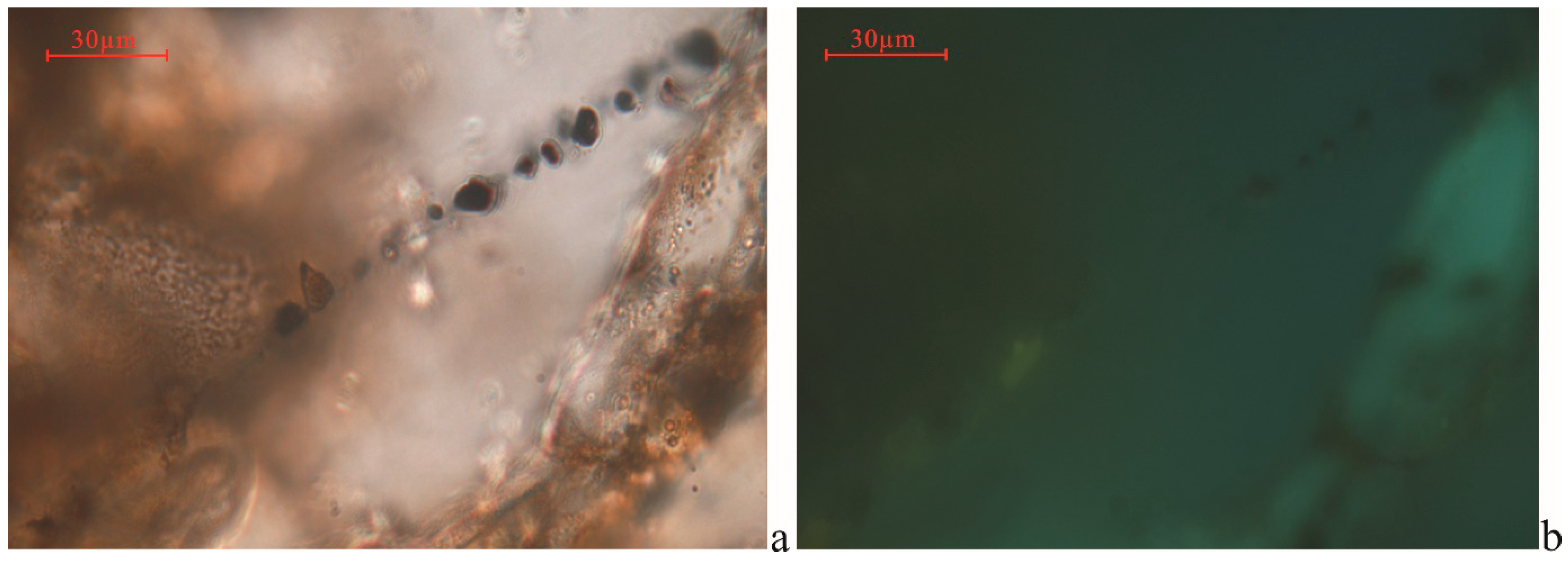 Processes 13 00024 g007