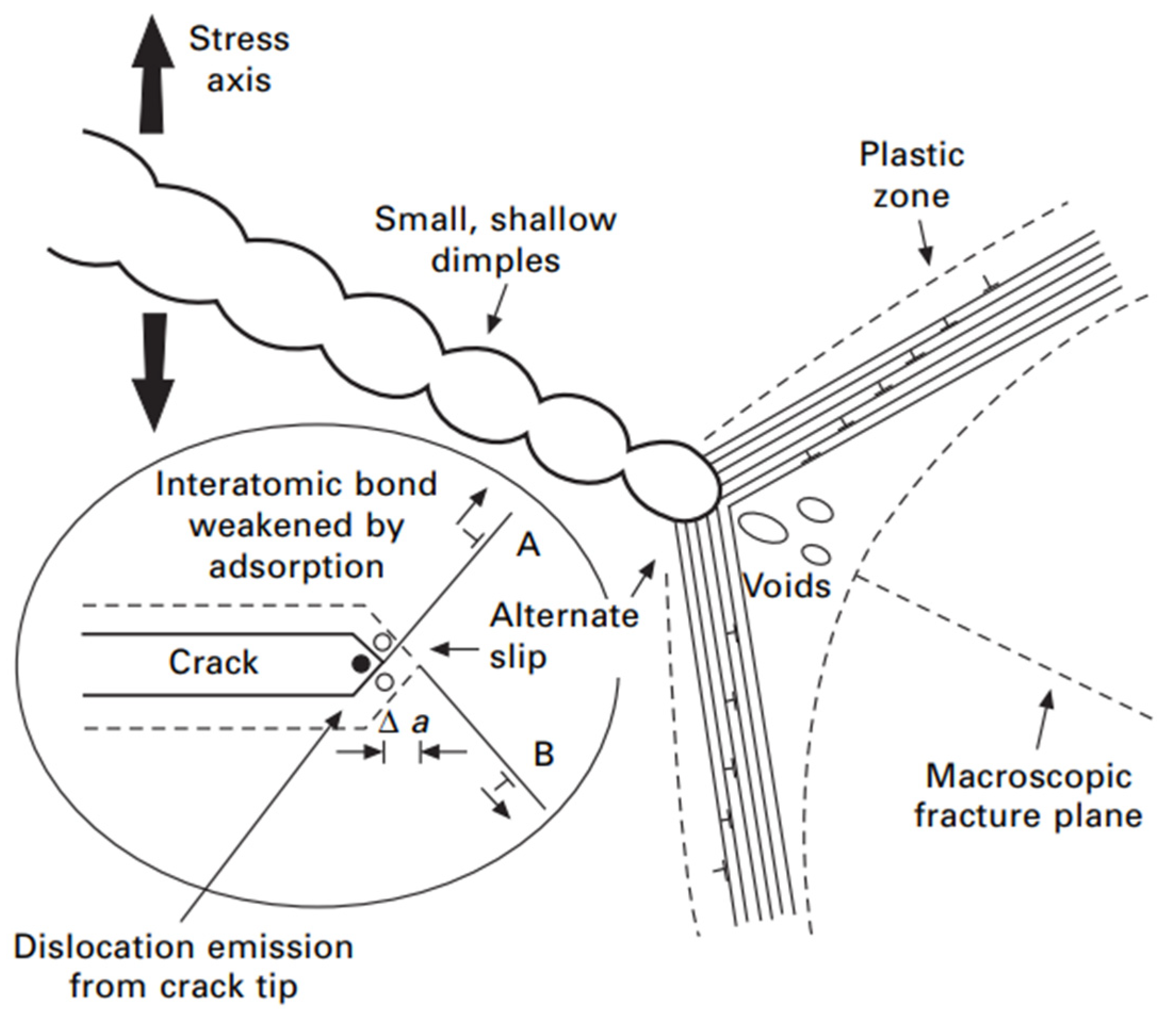 Processes 13 00033 g009