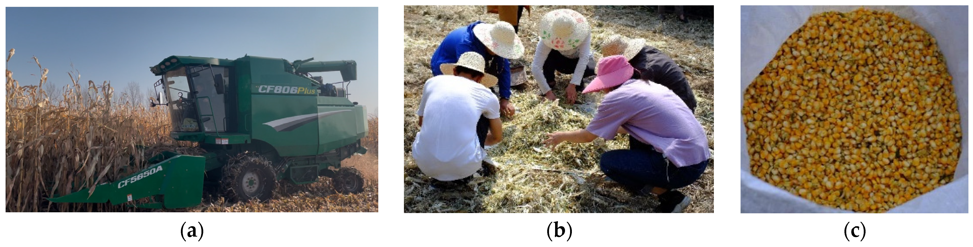 Processes 13 00058 g009