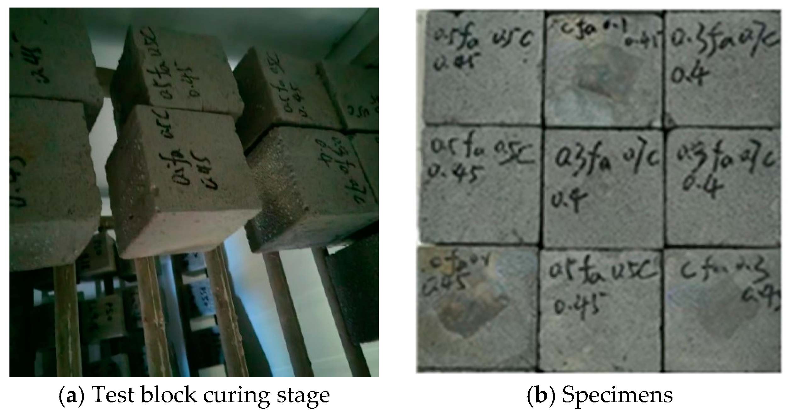 Processes 13 00064 g002