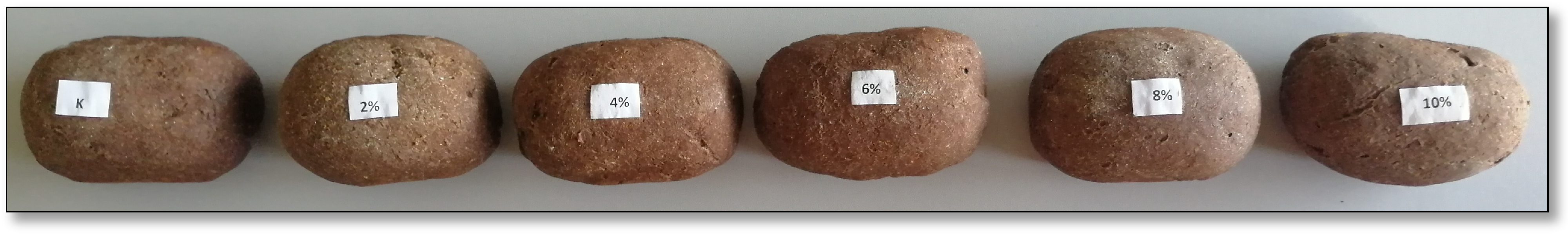 Processes 13 00083 g001