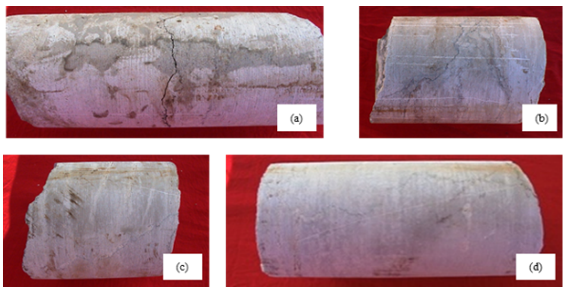 Processes 13 00096 g001